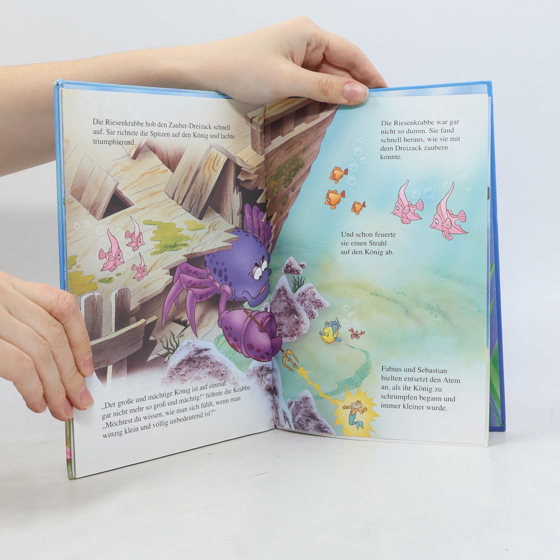 Autores varios Arielle und der kleine Wal