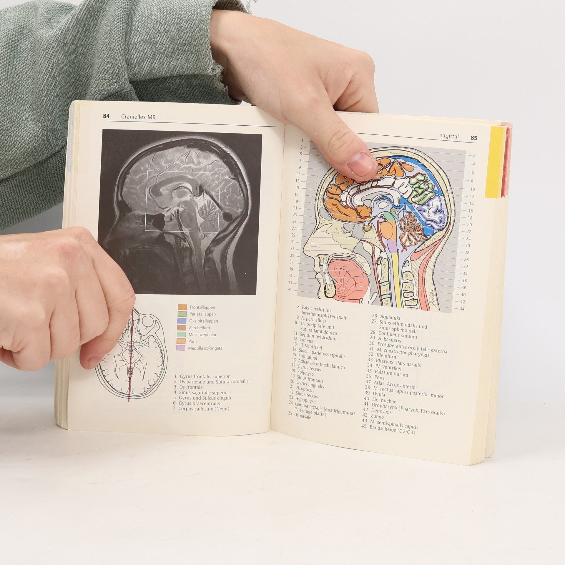 Torsten B. Möller Taschenatlas der Schnittbildanatomie