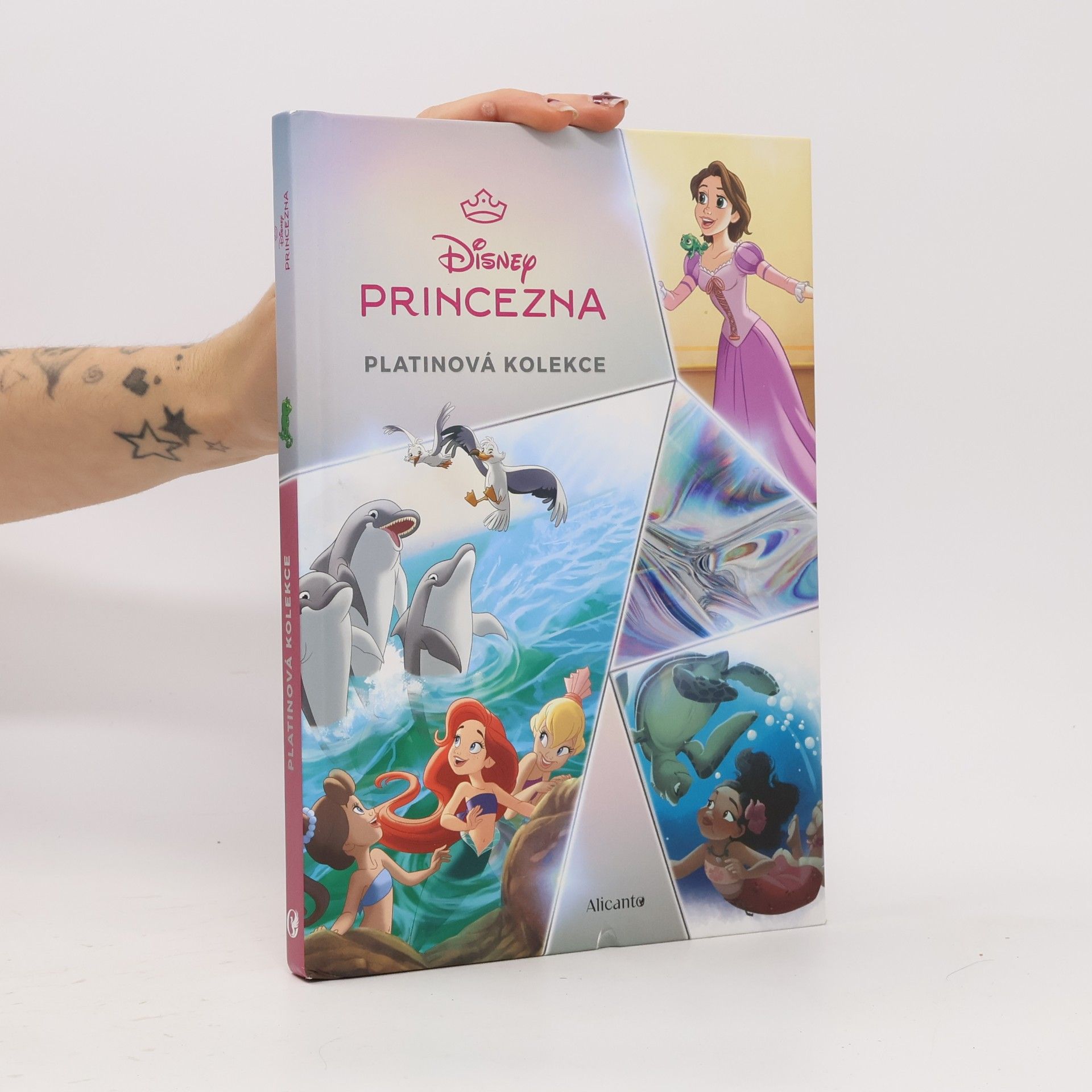 Disney Princezna