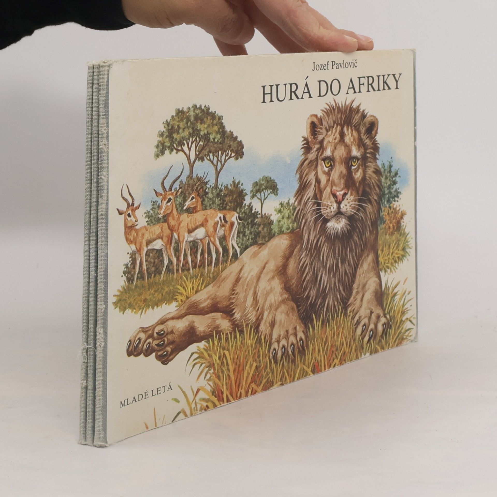 Jozef Pavlovič Hurá do Afriky