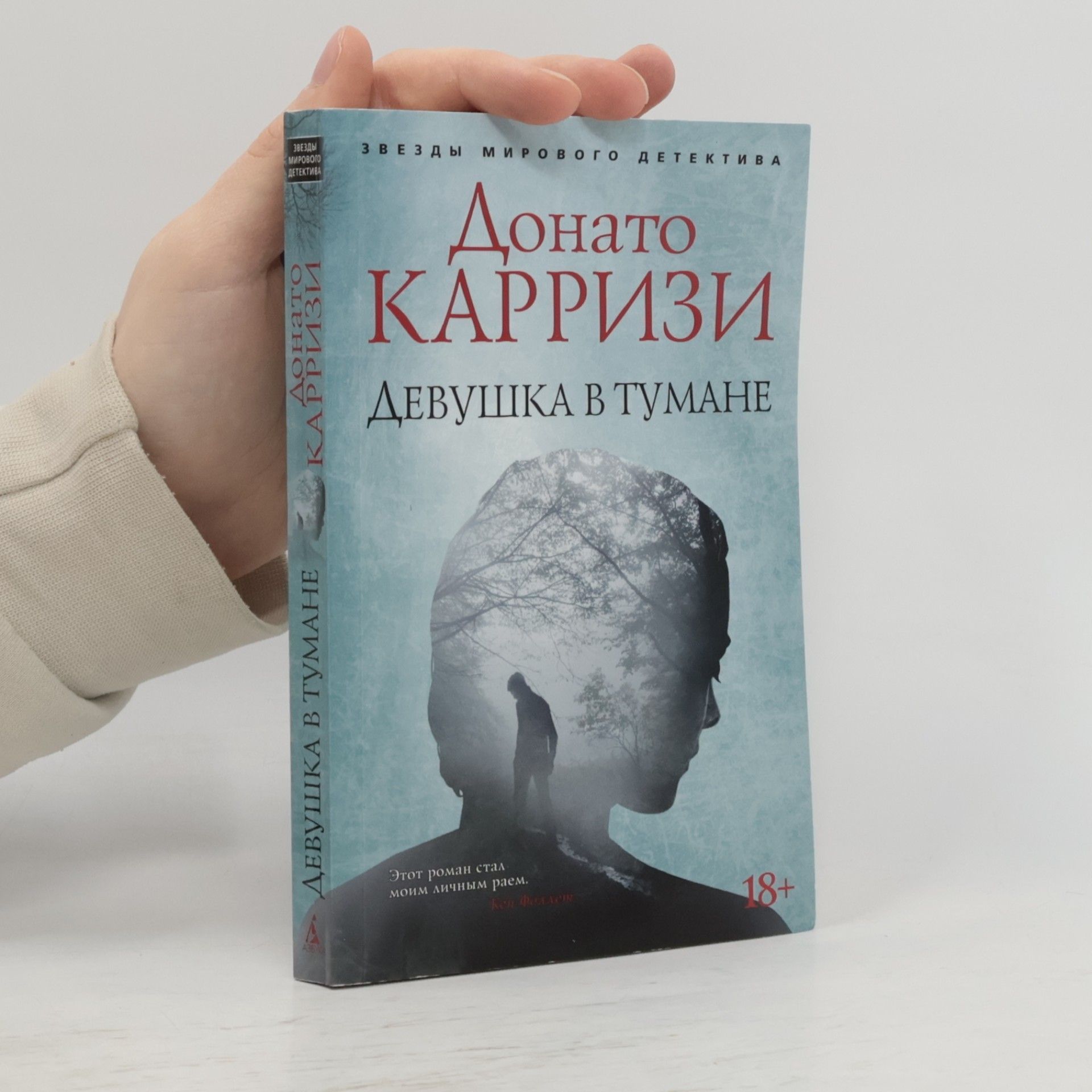 Donato Carrisi Девушка в тумане