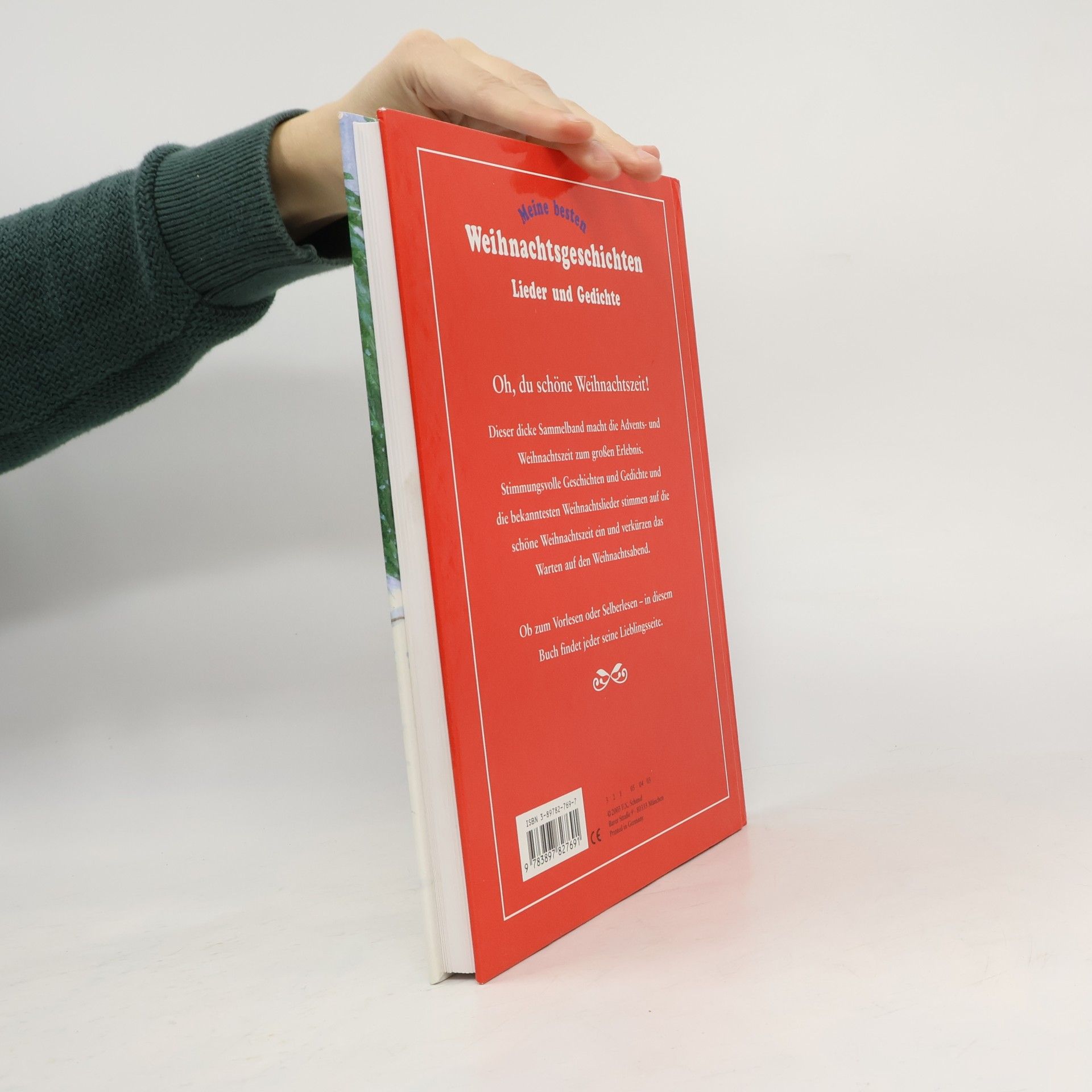 Autores varios Meine besten Weihnachtsgeschichten