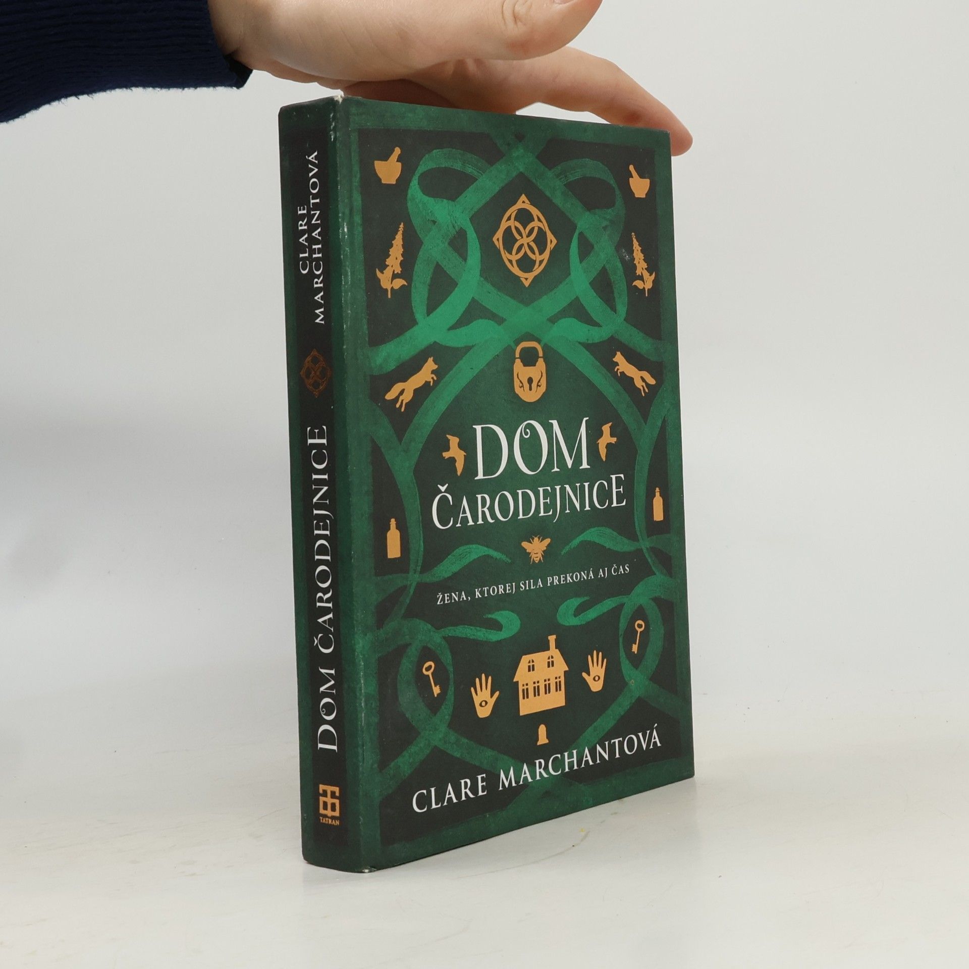 Dom čarodejnice
