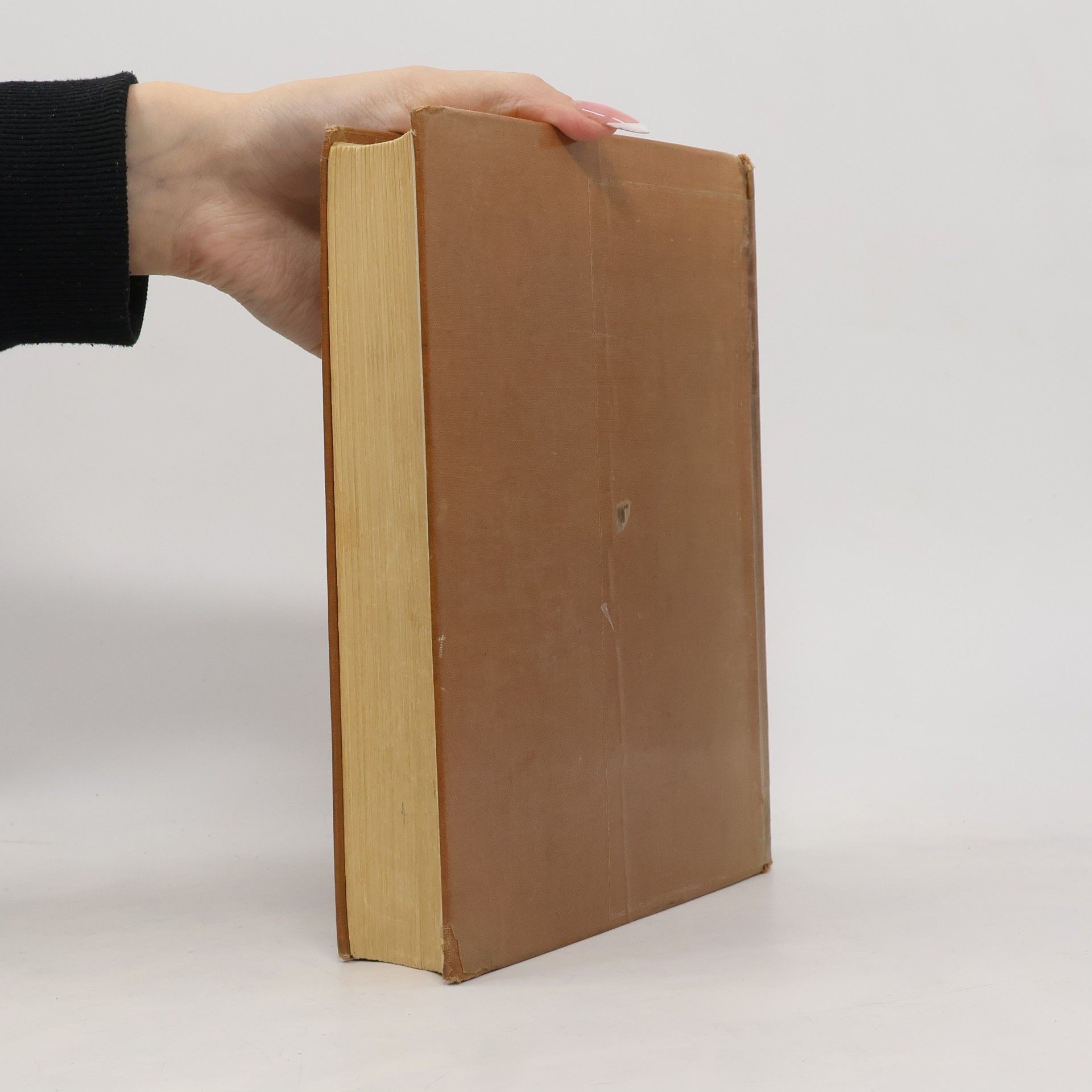 Volker Beuthien Studienkommentar zum BGB 1.-3. Buch ([section symbols] 1-1296)