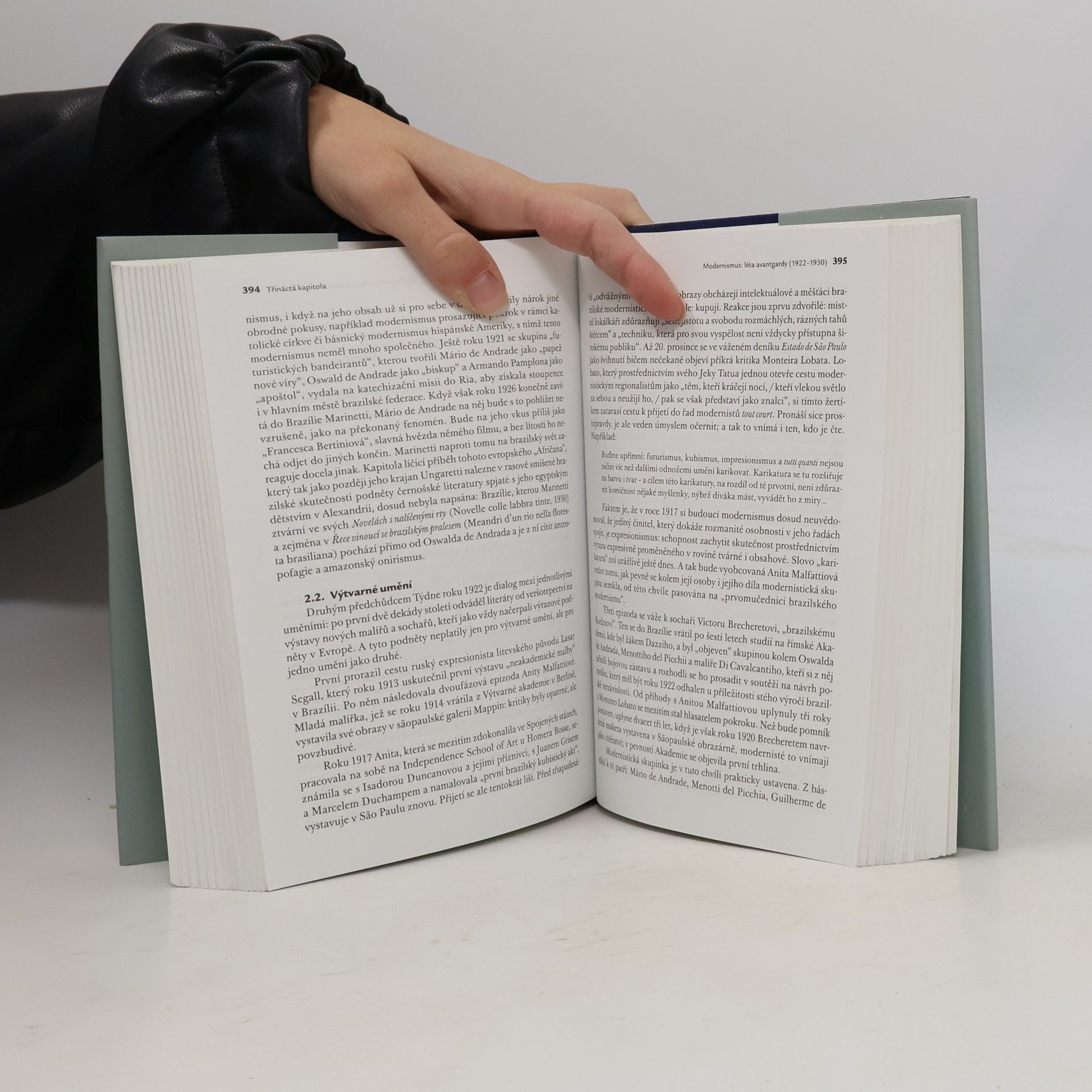Šárka Grauová Dějiny brazilské literatury