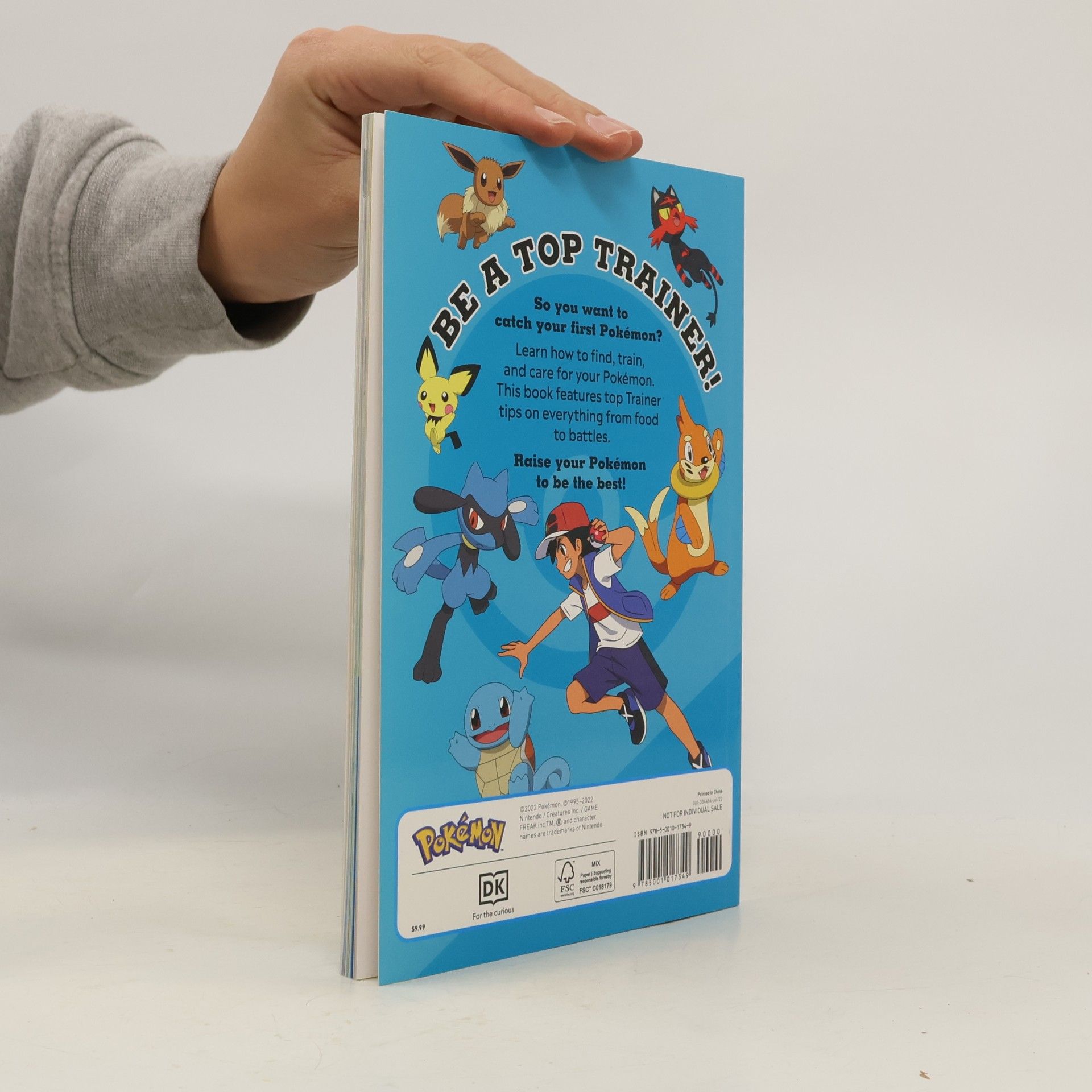 kolektiv How To Train Your Pokémon