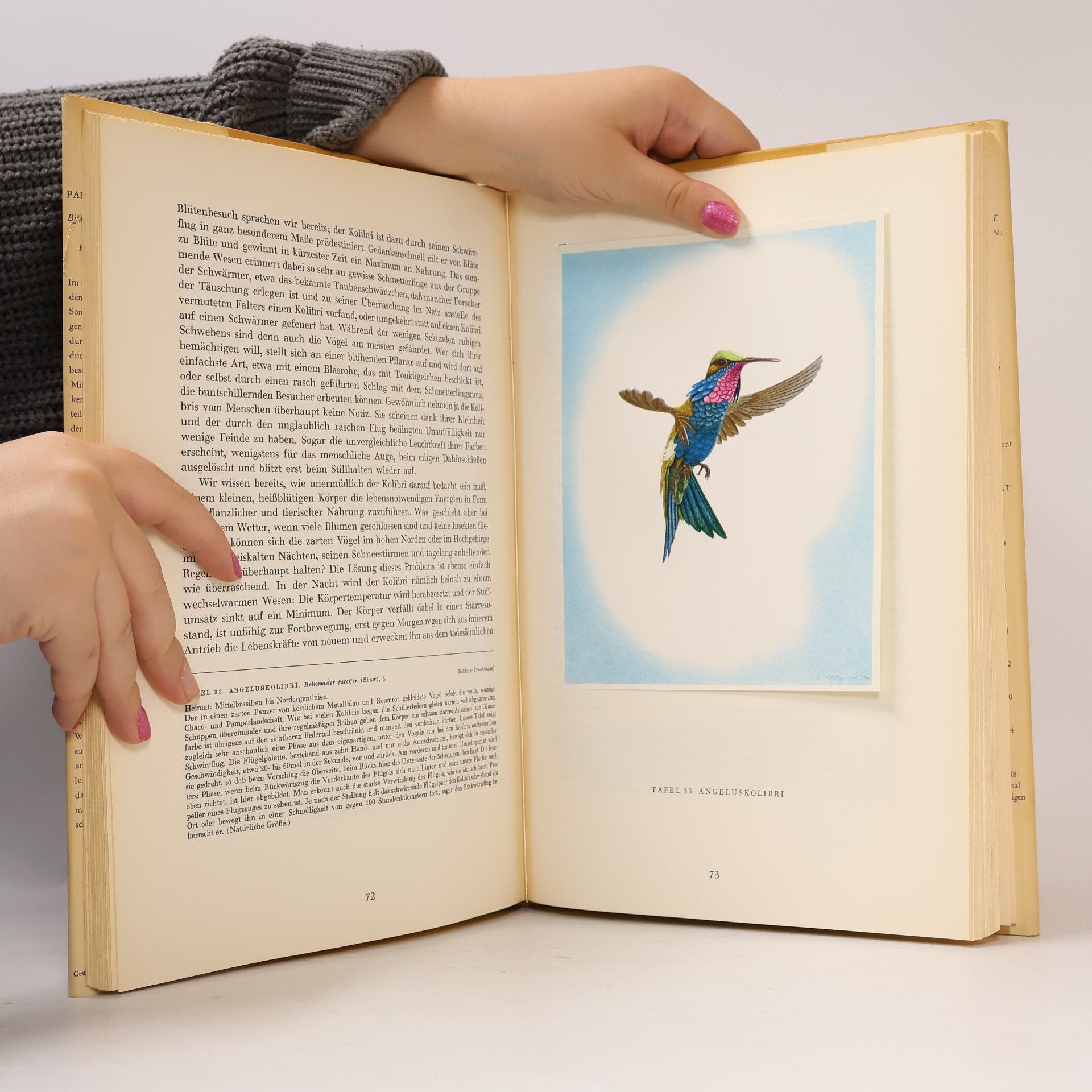 Walter Linsenmaier Paradiesvögel und Kolibris