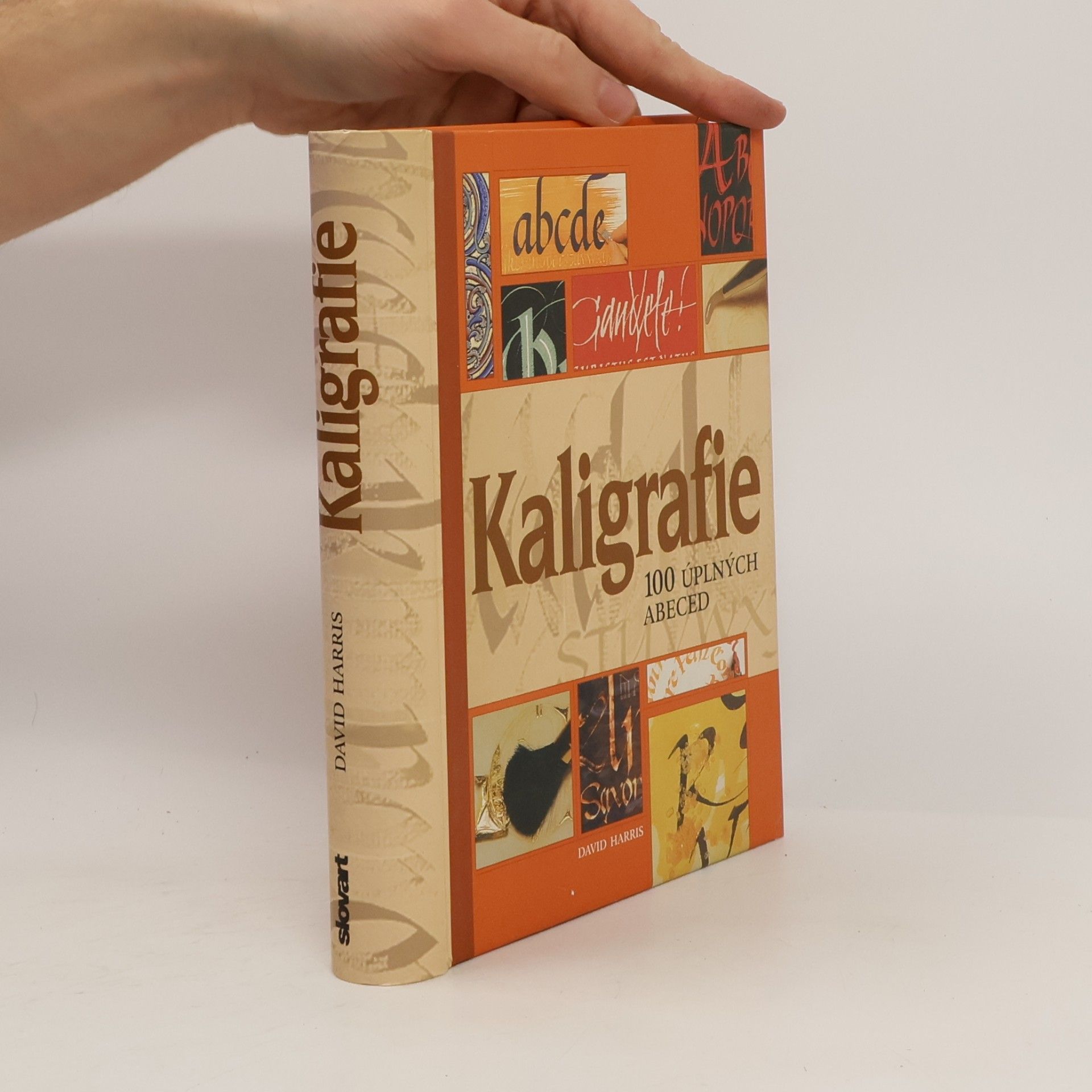 Kaligrafie : 100 úplných abeced: Podrobný a přehledný průvodce pro každého, kdo by se rád naučil umění krásného psaní