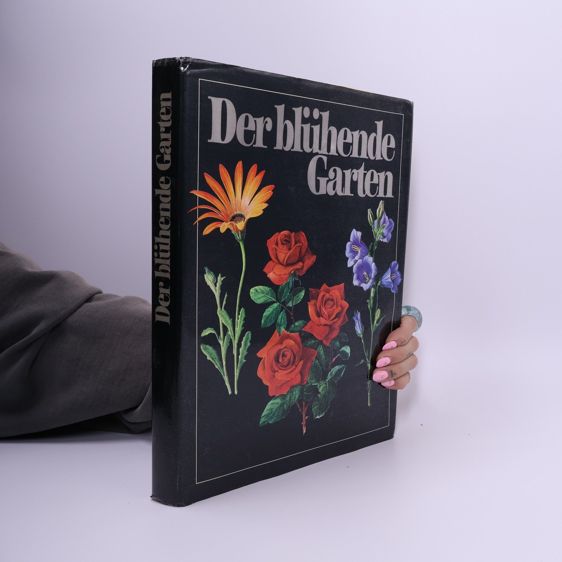 František Severa Der blühende Garten