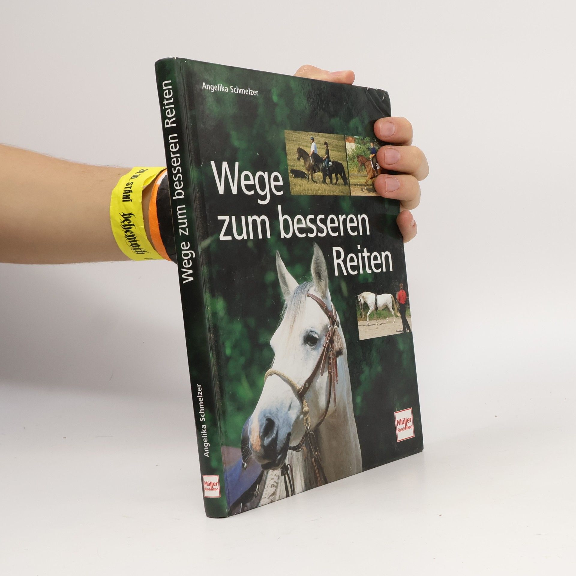 Wege zum besseren Reiten