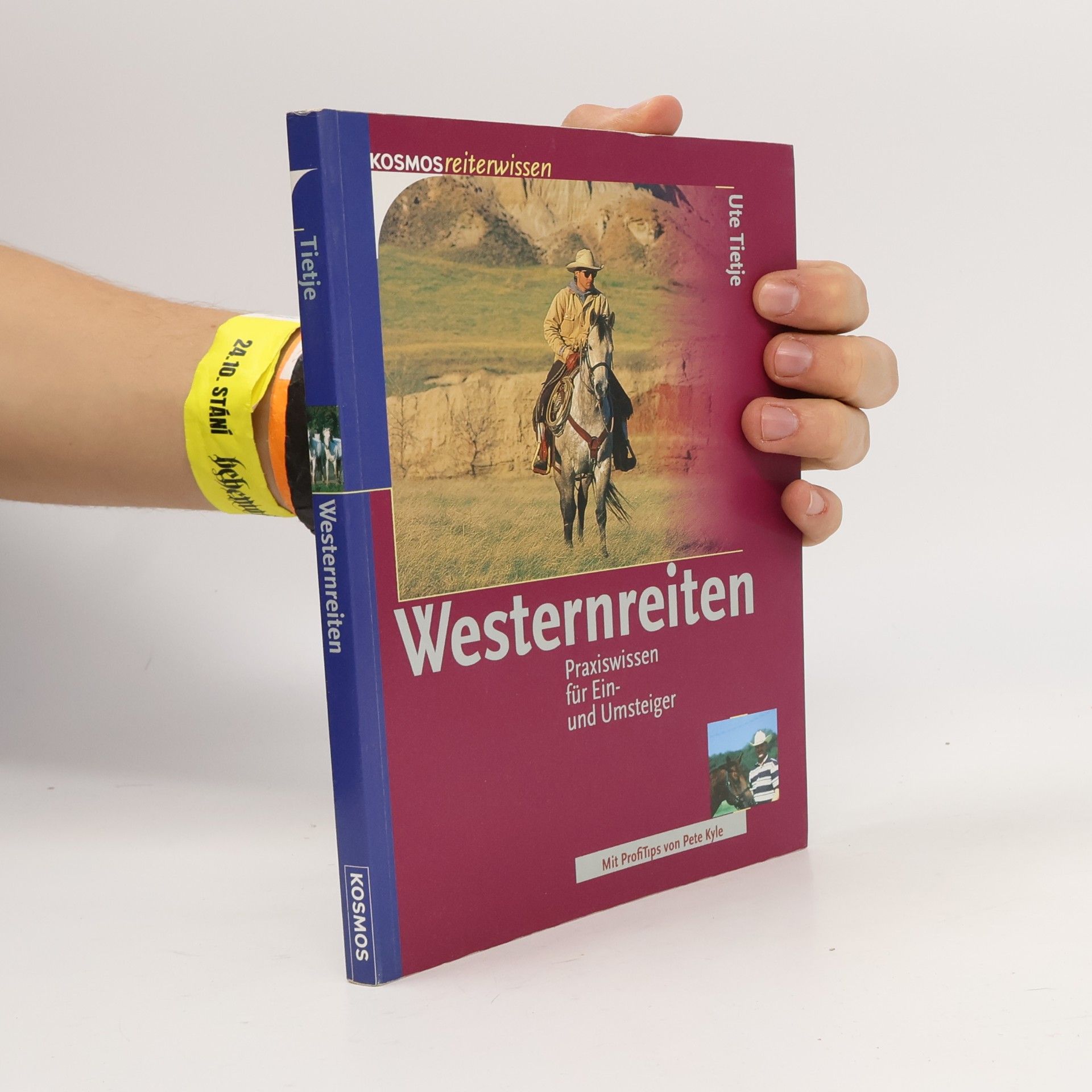 Ute Tietje Westernreiten