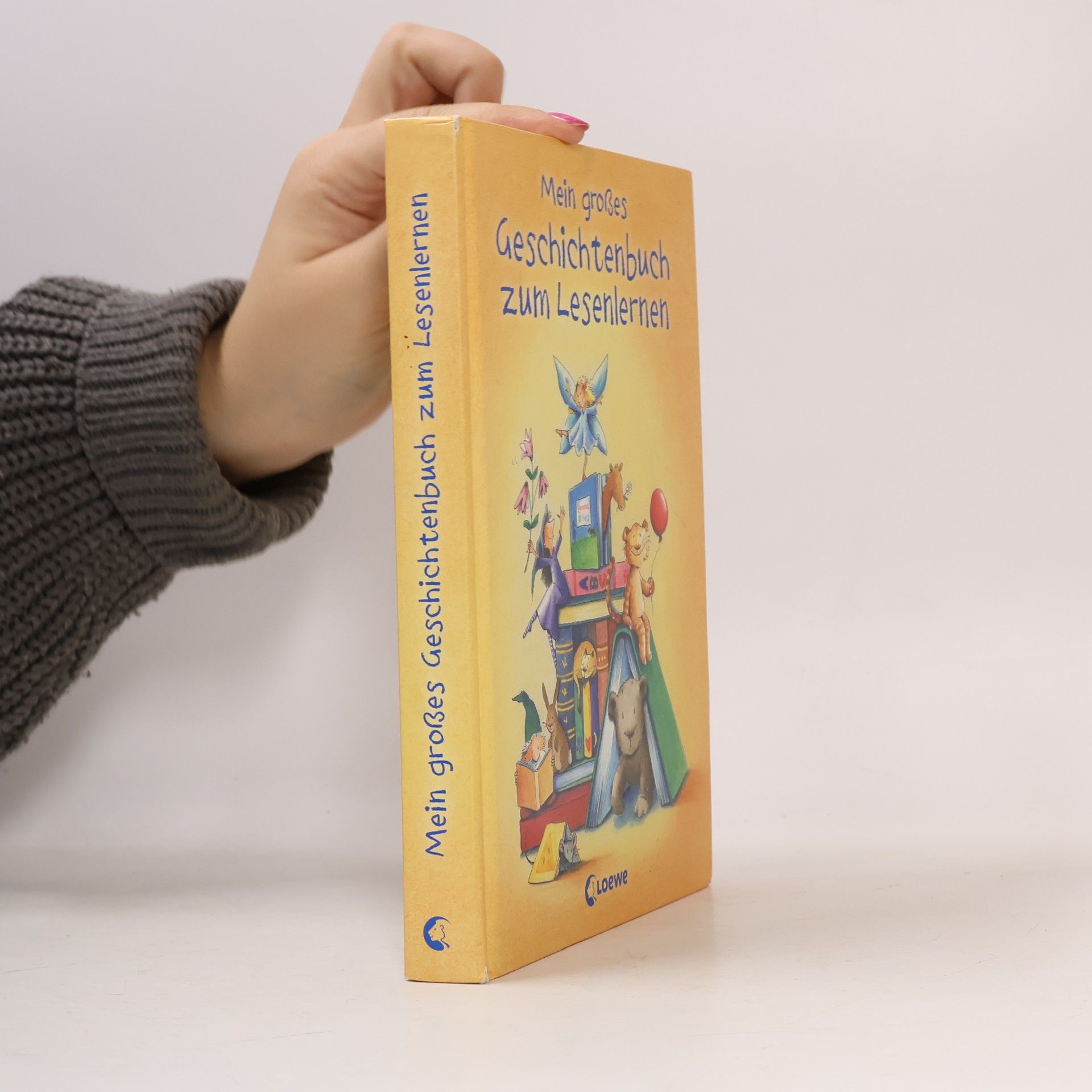 Mein großes Geschichtenbuch zum Lesenlernen