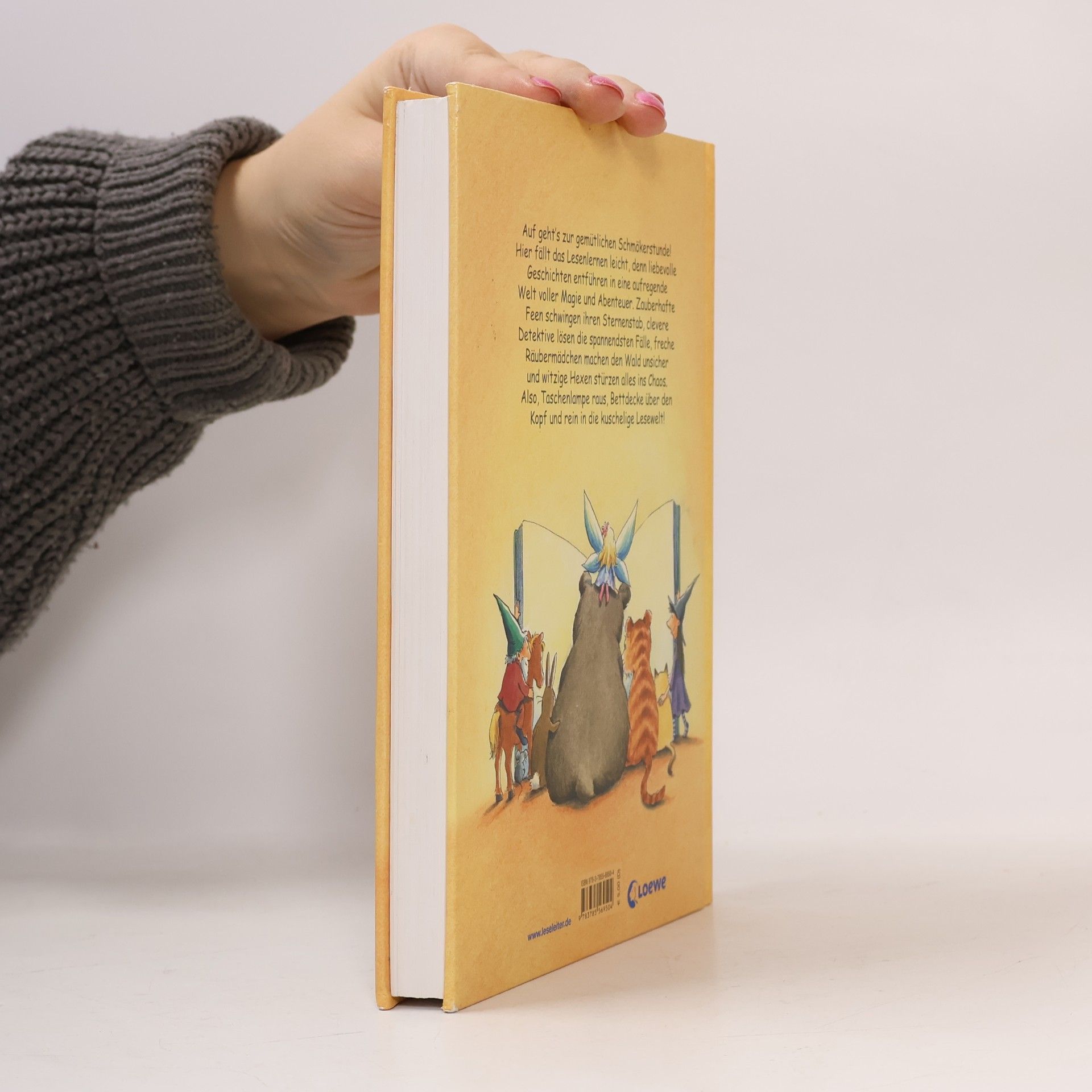 Mein großes Geschichtenbuch zum Lesenlernen