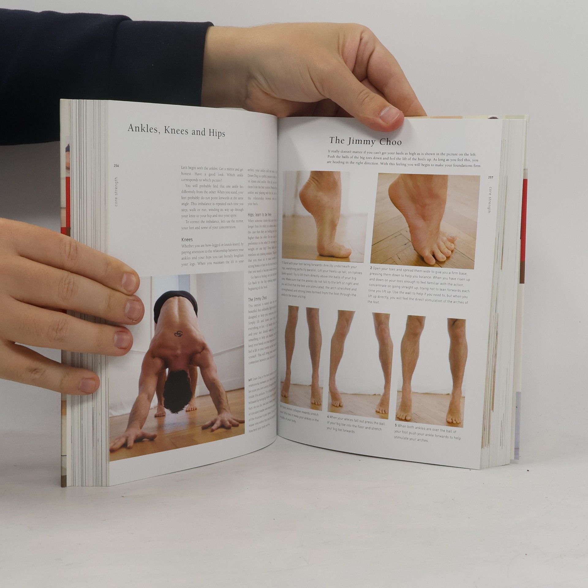 Autorenkollektiv Yoga & Pilates for Everyone
