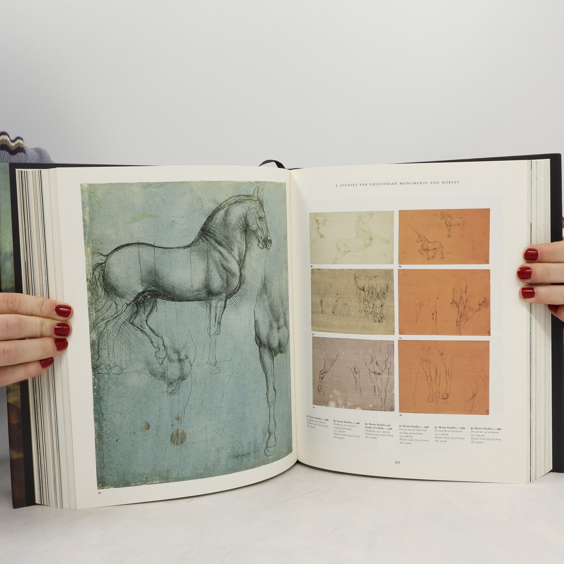 Frank Zöllner Leonardo : The Complete Paintings and Drawings