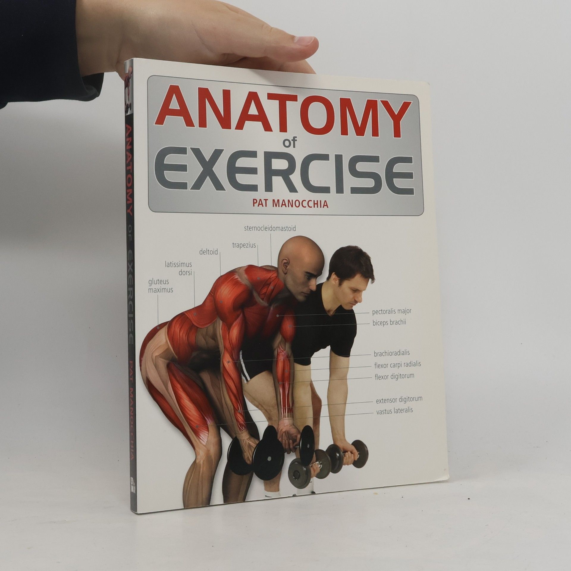 Anatomy of Exercise