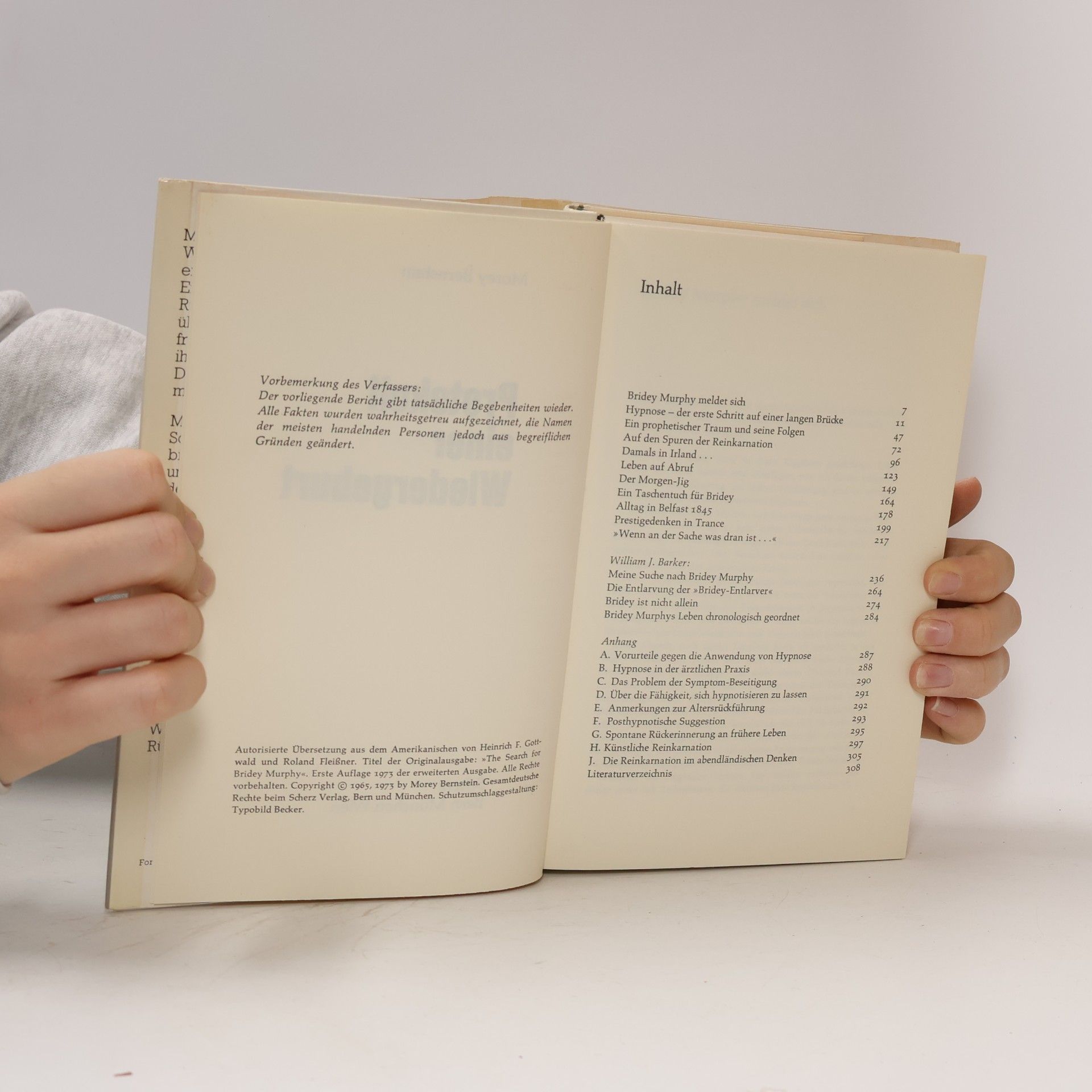 Morey Bernstein Protokoll einer Wiedergeburt