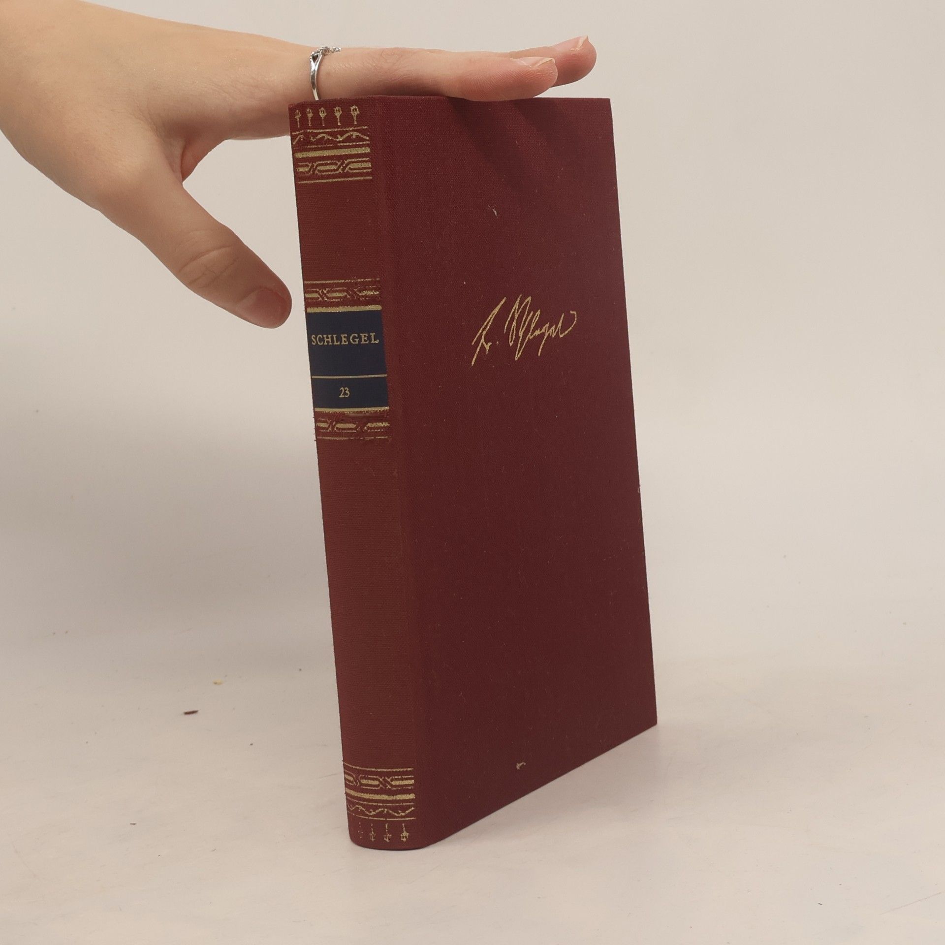 Friedrich Schlegel Werke in einem Band: Die Bibliothek deutscher Klassiker Band 23