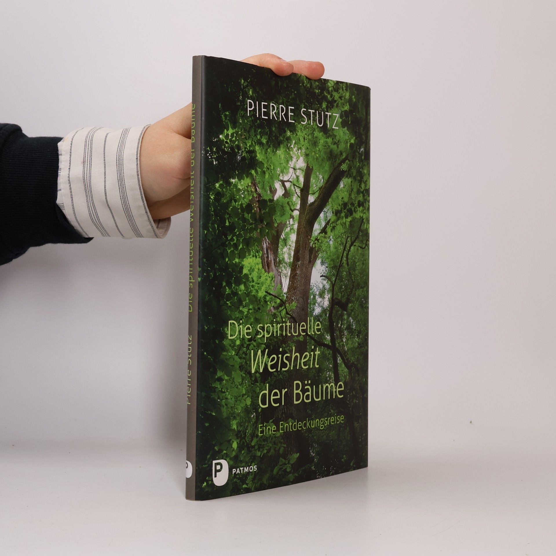 Pierre Stutz Die spirituelle Weisheit der Bäume