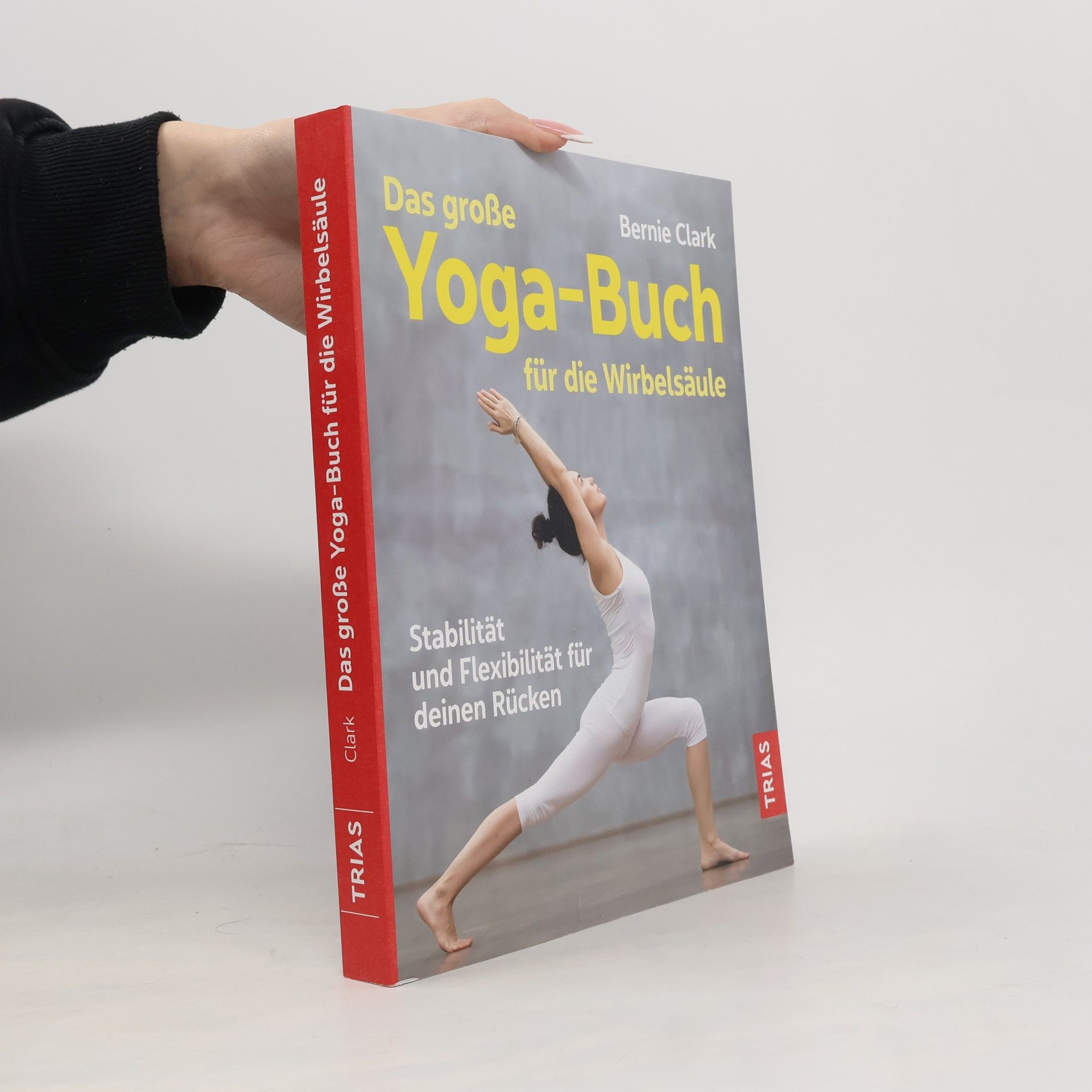 Das grosse Yoga-Buch für die Wirbelsäule