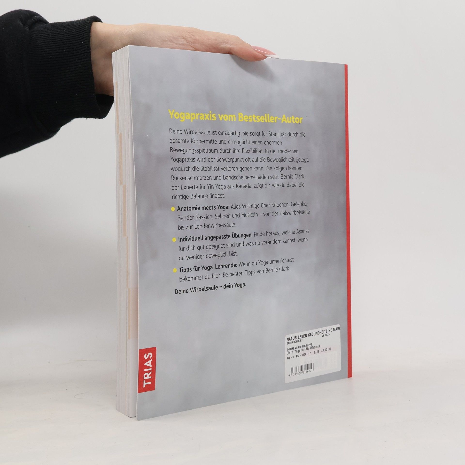 Bernie Clark Das grosse Yoga-Buch für die Wirbelsäule