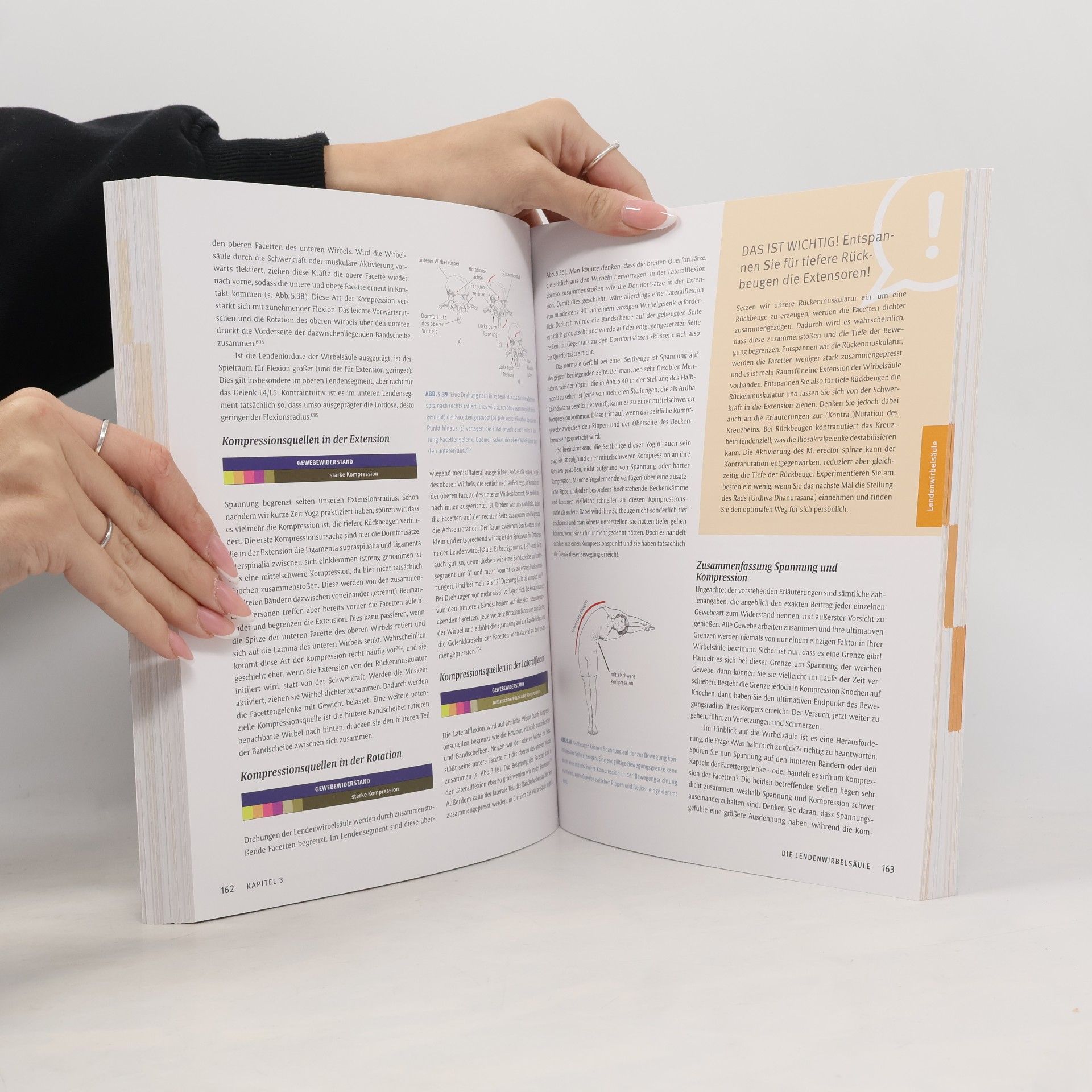 Bernie Clark Das grosse Yoga-Buch für die Wirbelsäule