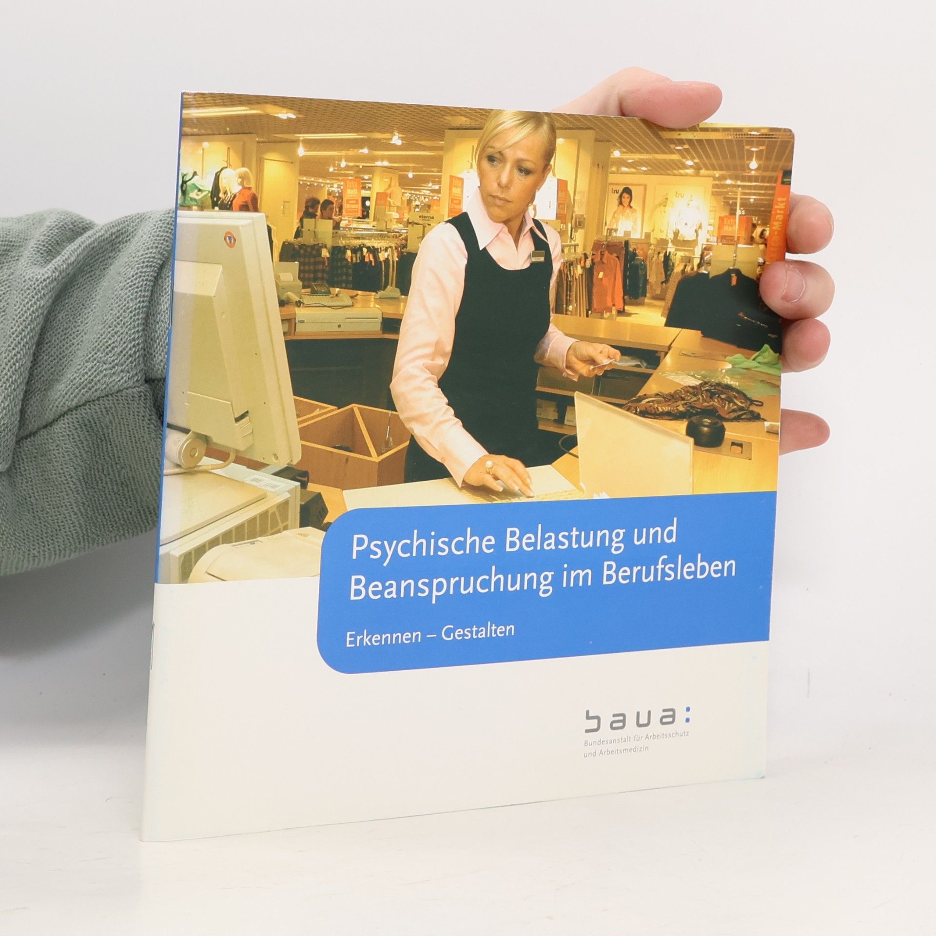 Karin Joiko Psychische Belastung und Beanspruchung im Berufsleben