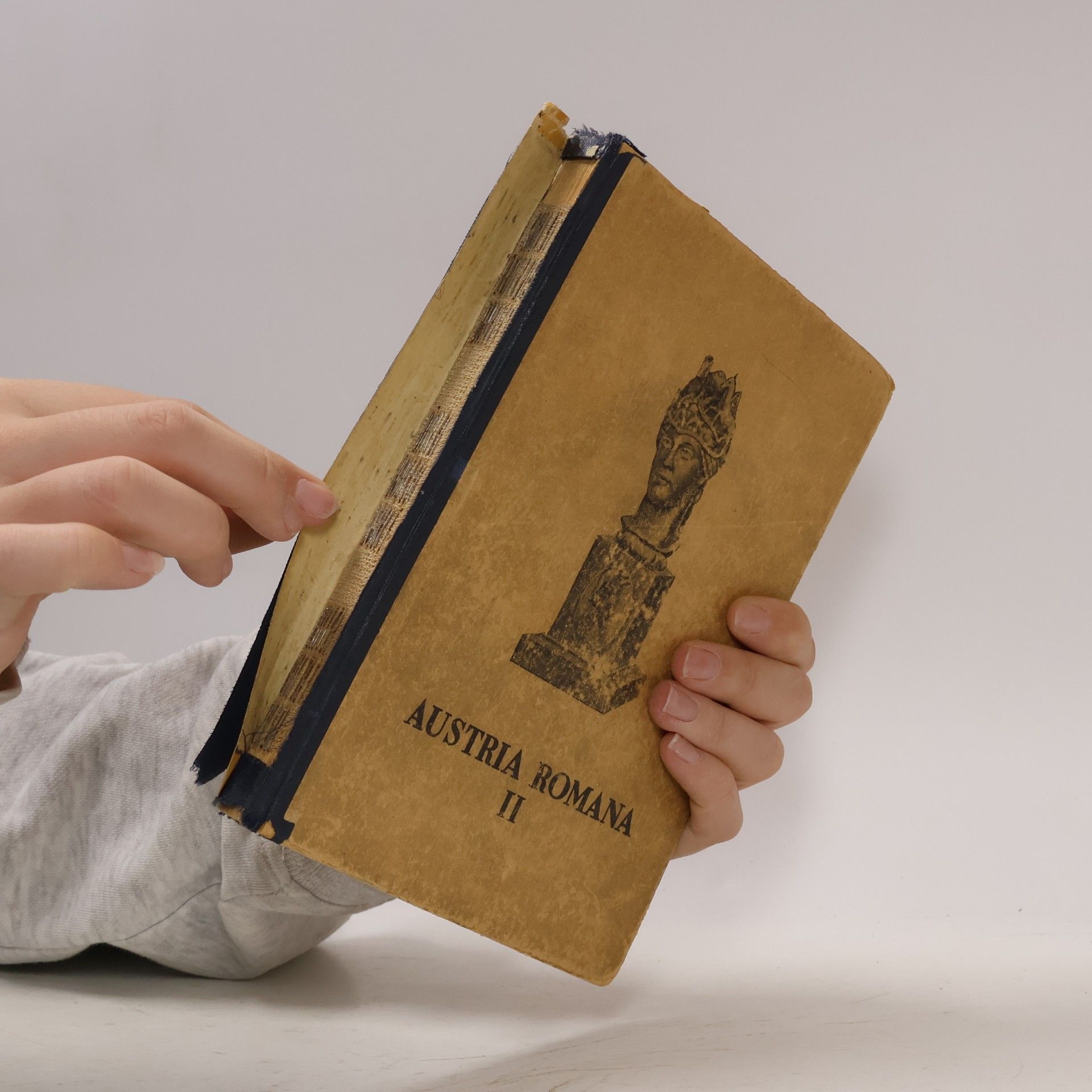 Autores varios Austria Romana II.