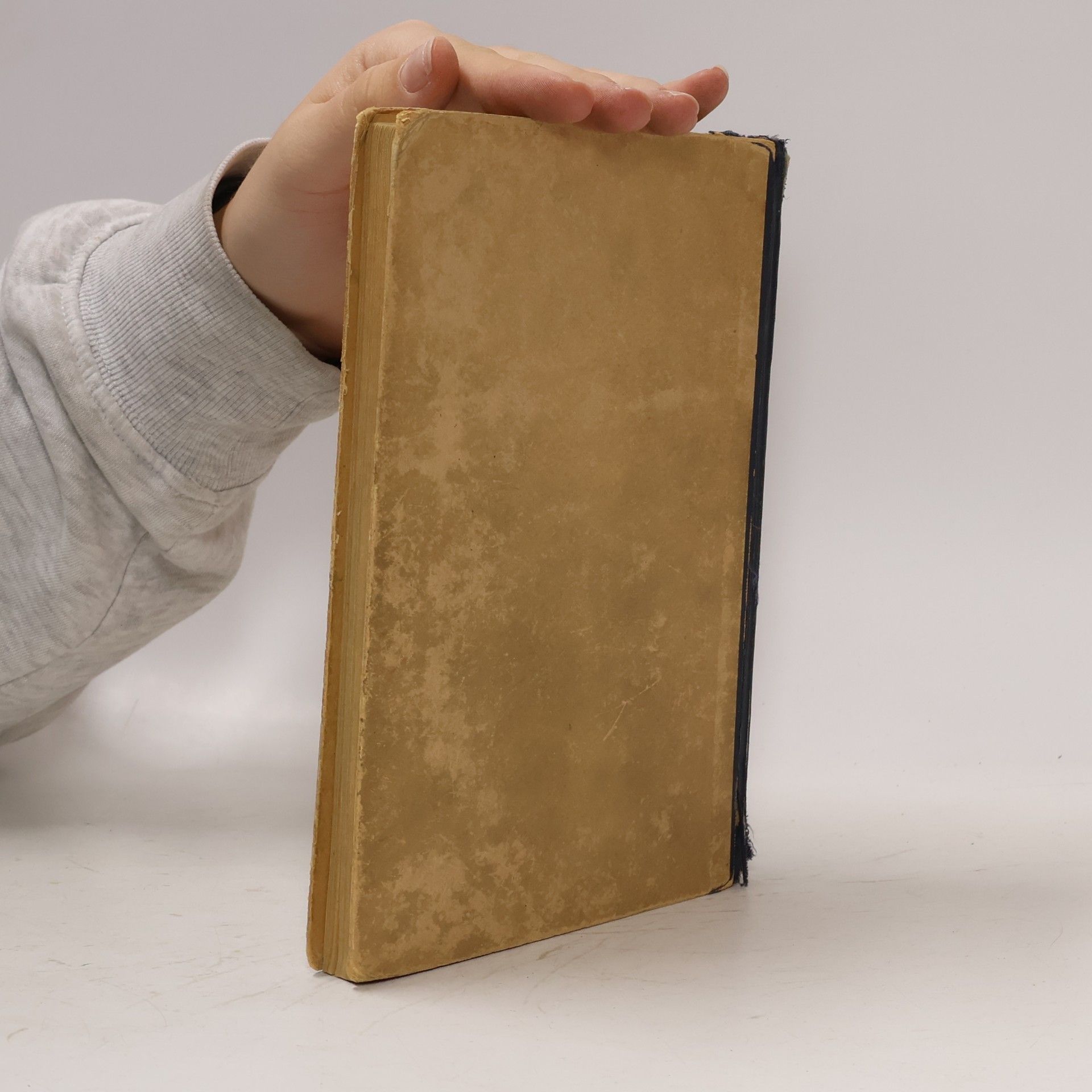Autores varios Austria Romana II.