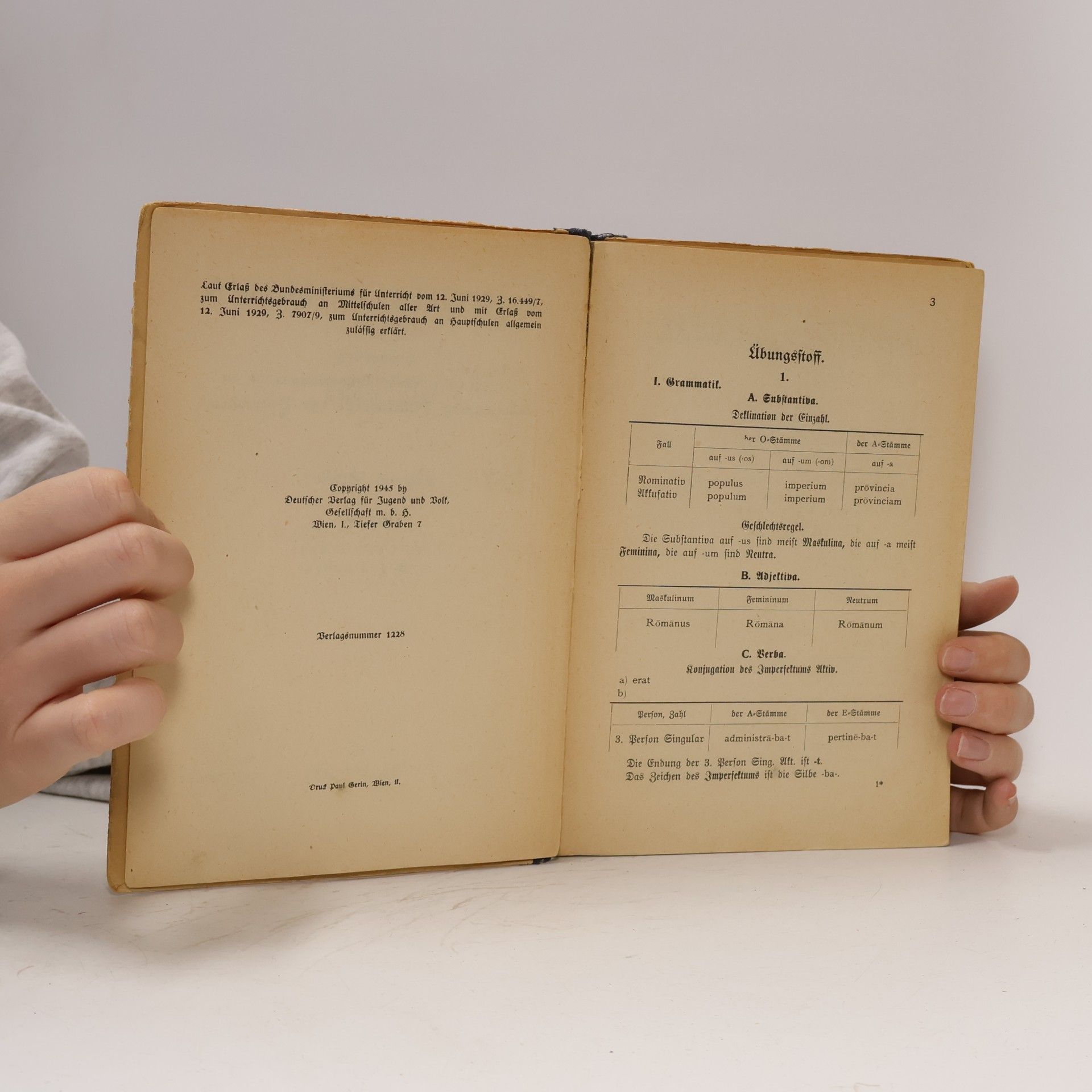 Autores varios Austria Romana II.