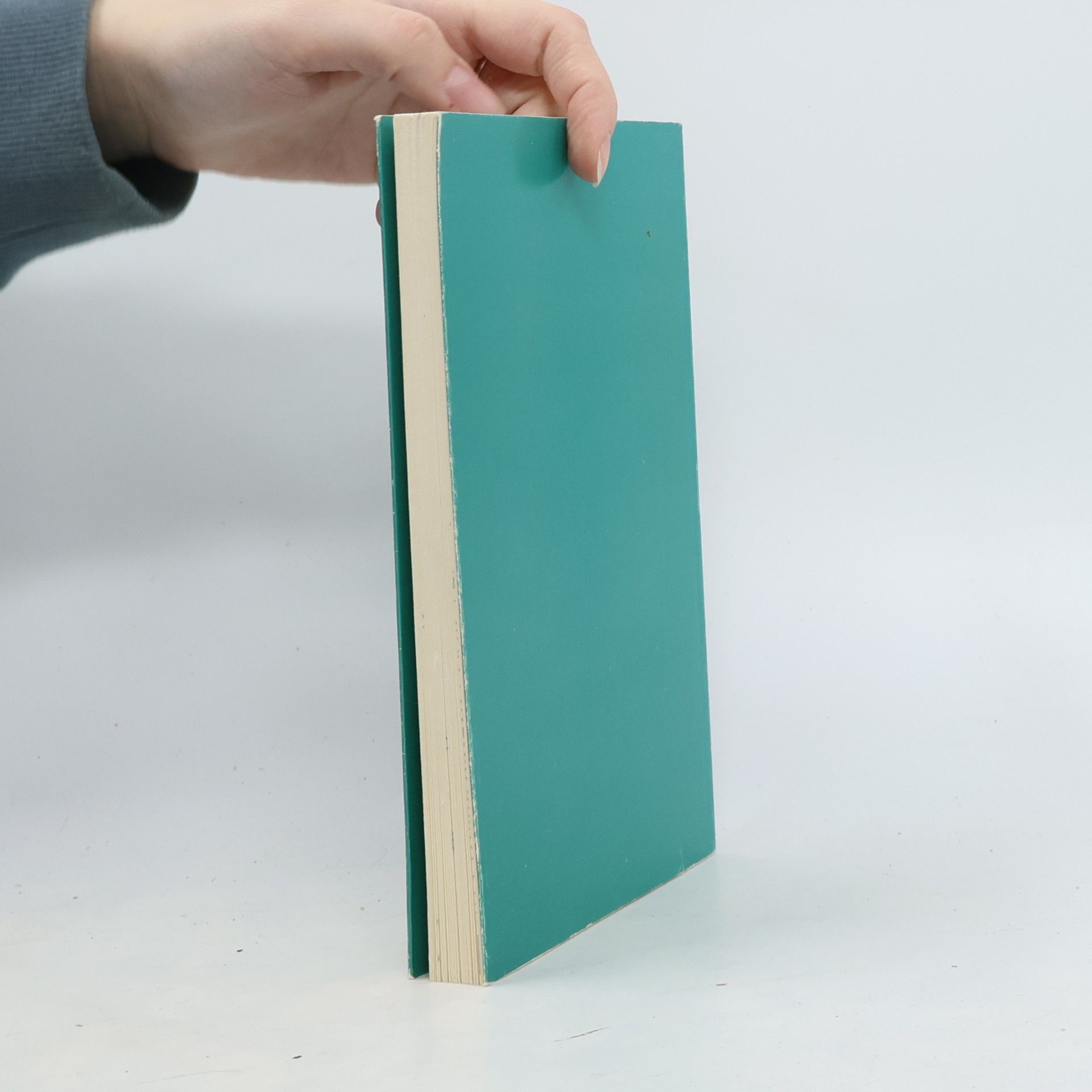 Rainer Brambach Basler Texte Nr. 3