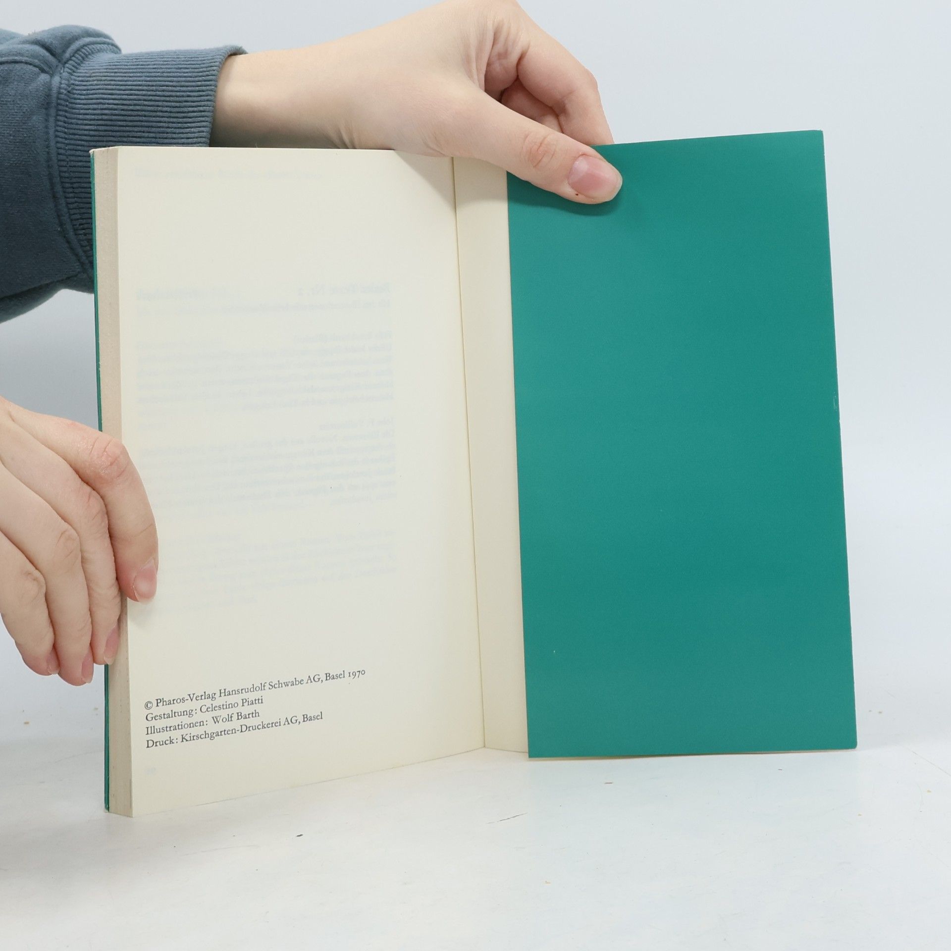 Rainer Brambach Basler Texte Nr. 3