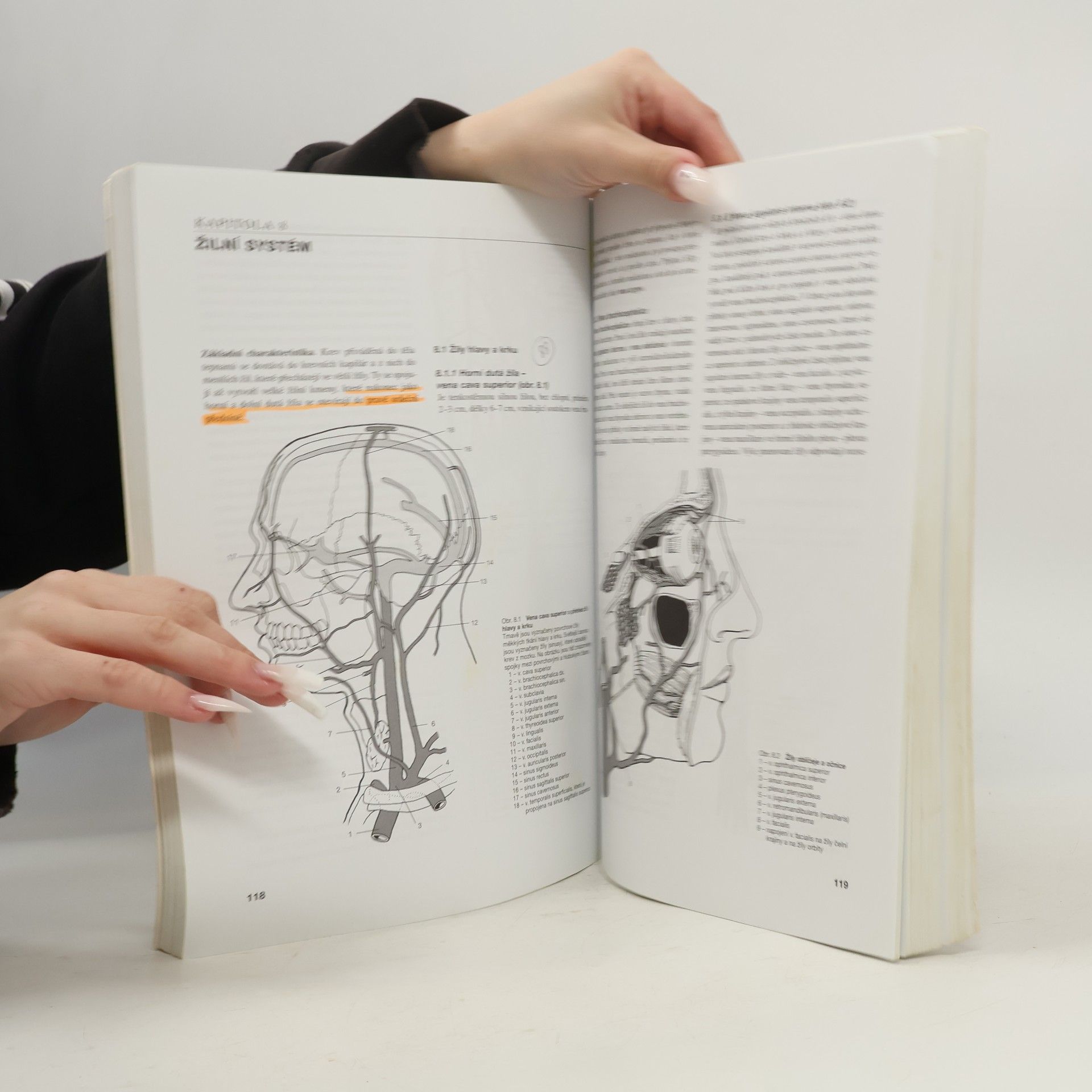 Ondřej Naňka Přehled anatomie
