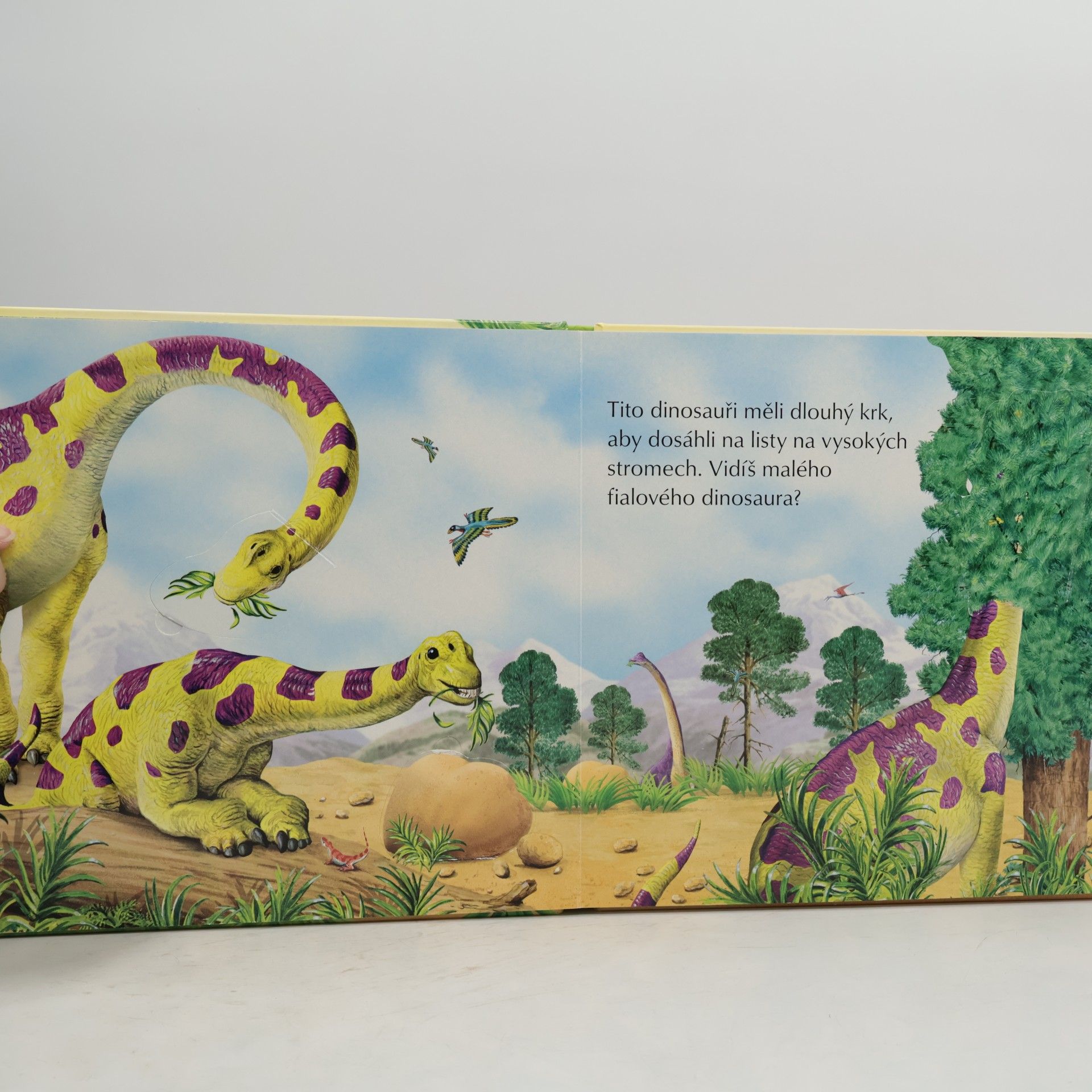 Peter David Scott Dinosauři: Kdo se skrývá pod obrázkem