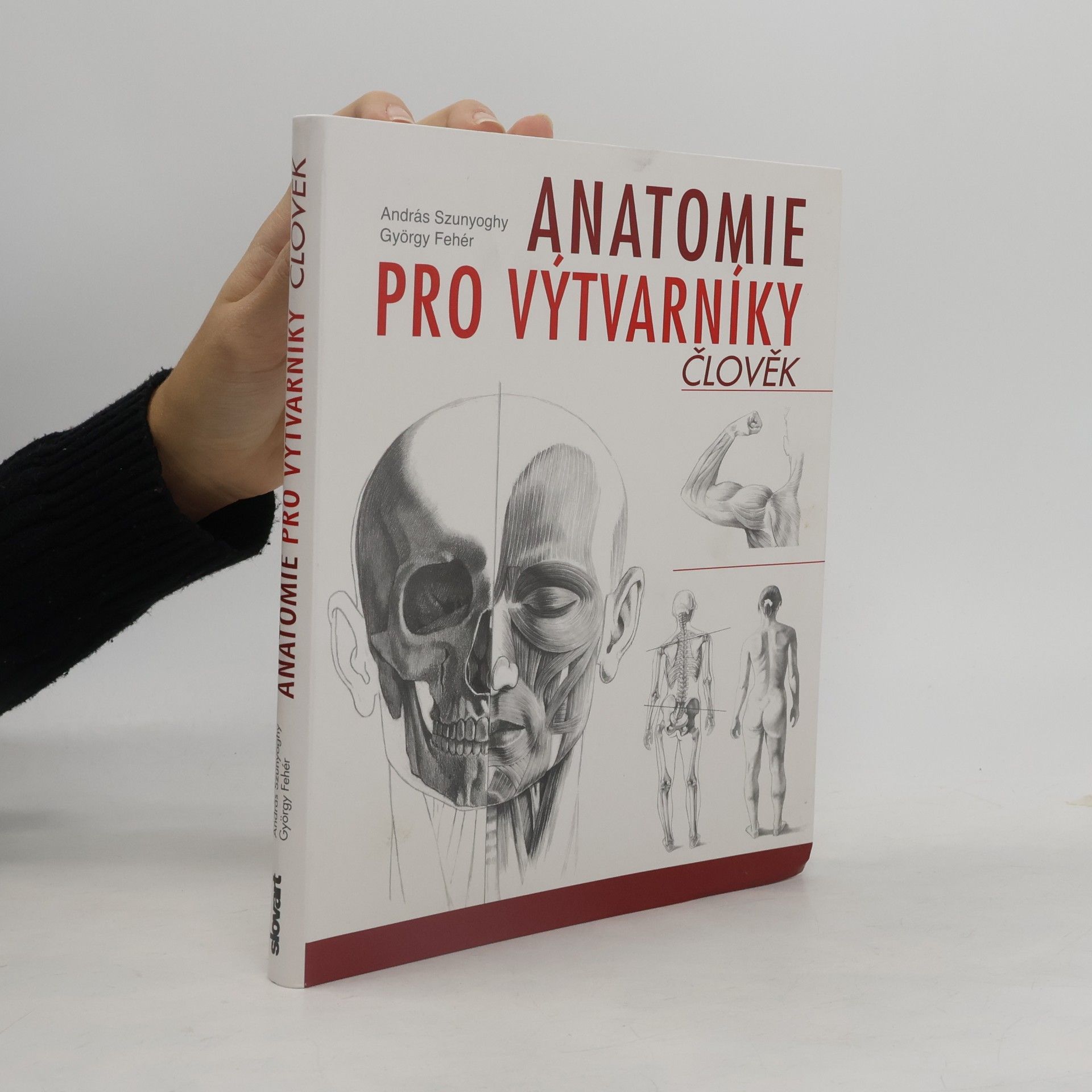 Kateřina Ševčíková Anatomie pro výtvarníky. Člověk