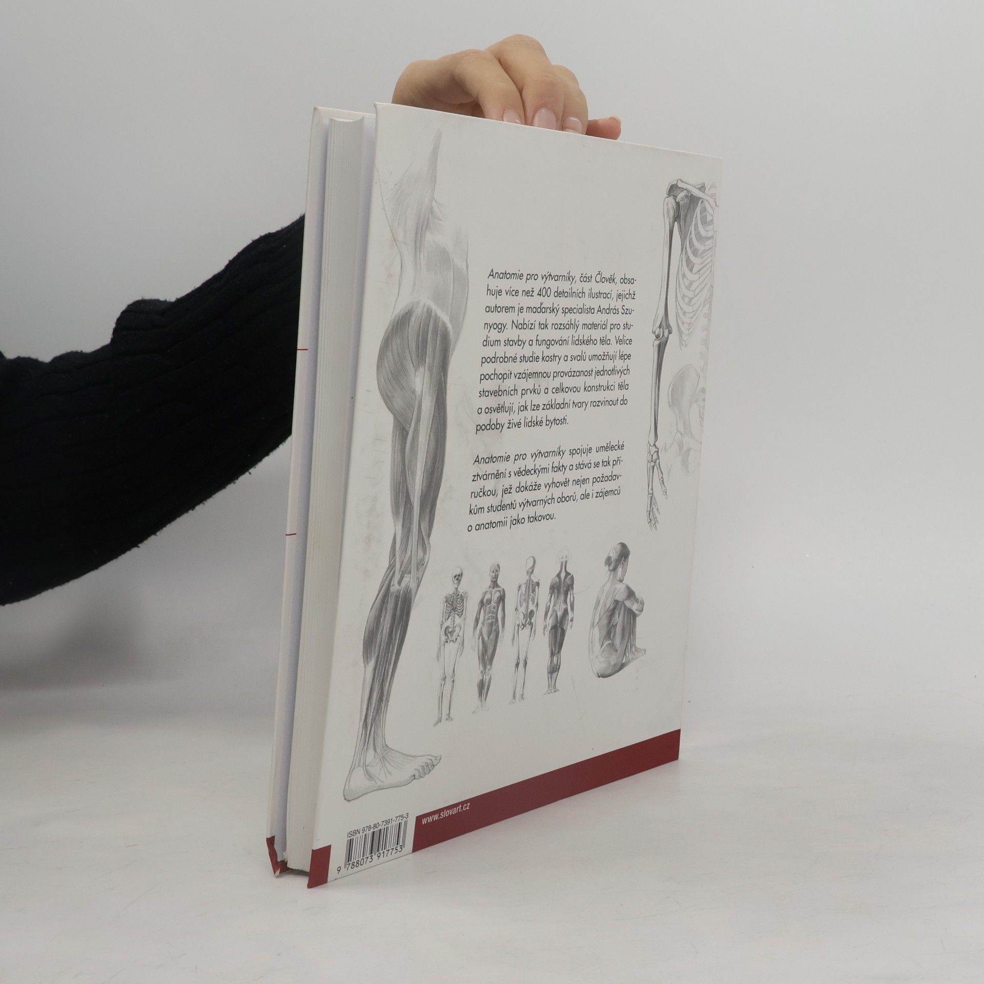 Kateřina Ševčíková Anatomie pro výtvarníky. Člověk