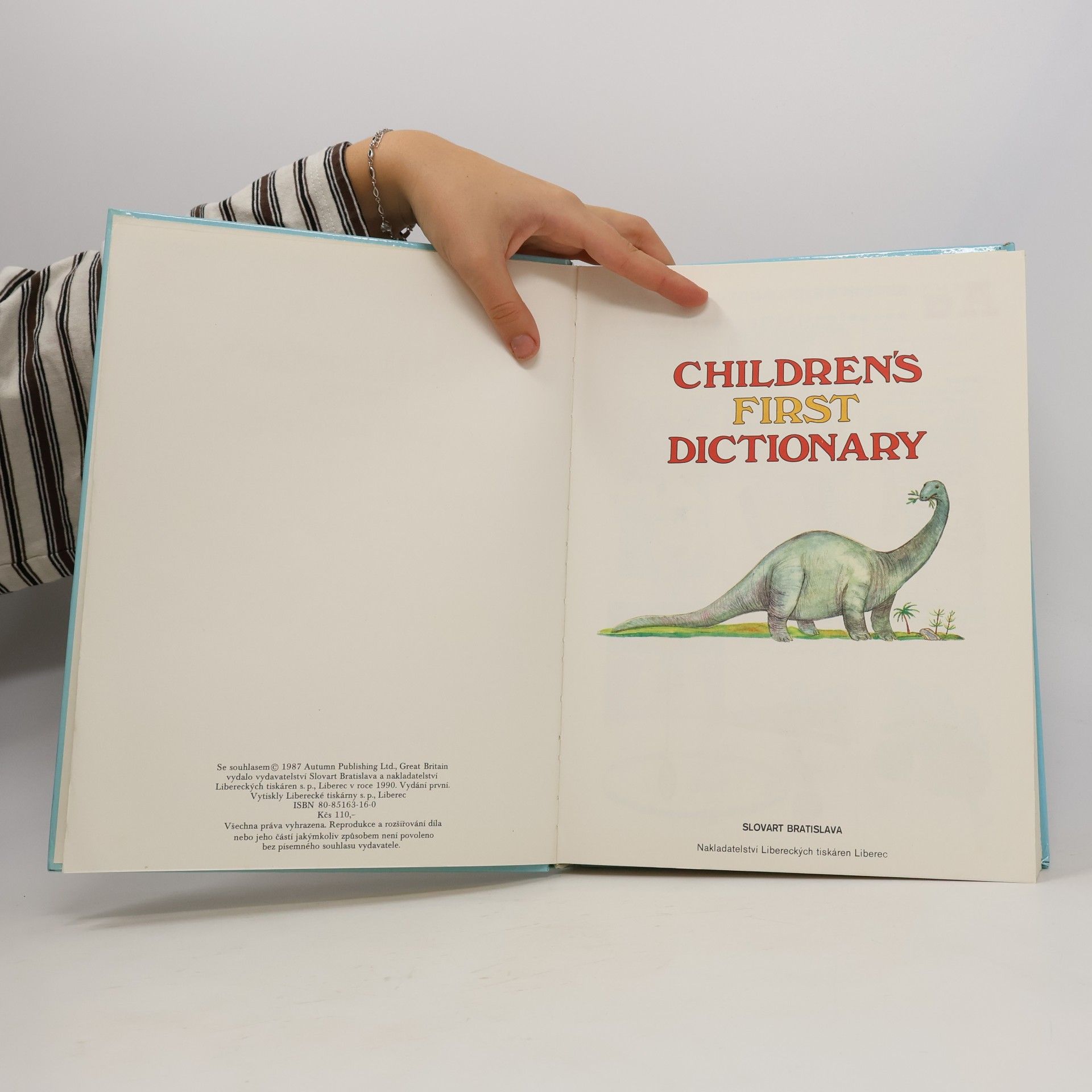 Autorenkollektiv Children's first dictionary