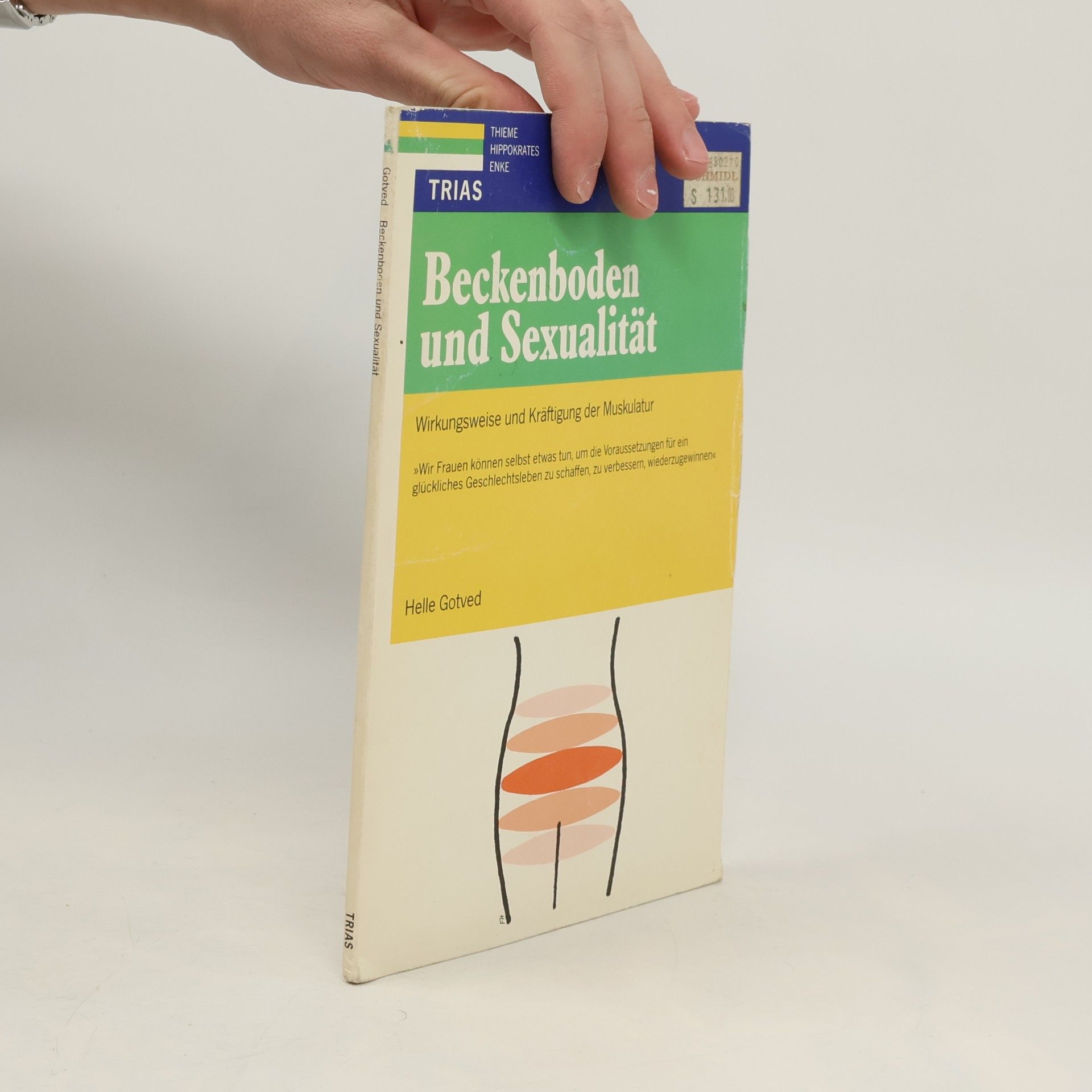 Beckenboden und Sexualität