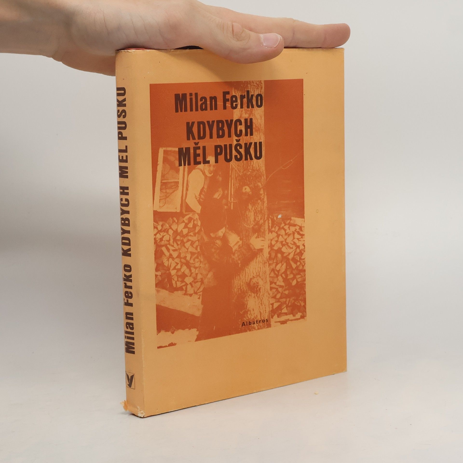 Kdybych měl pušku