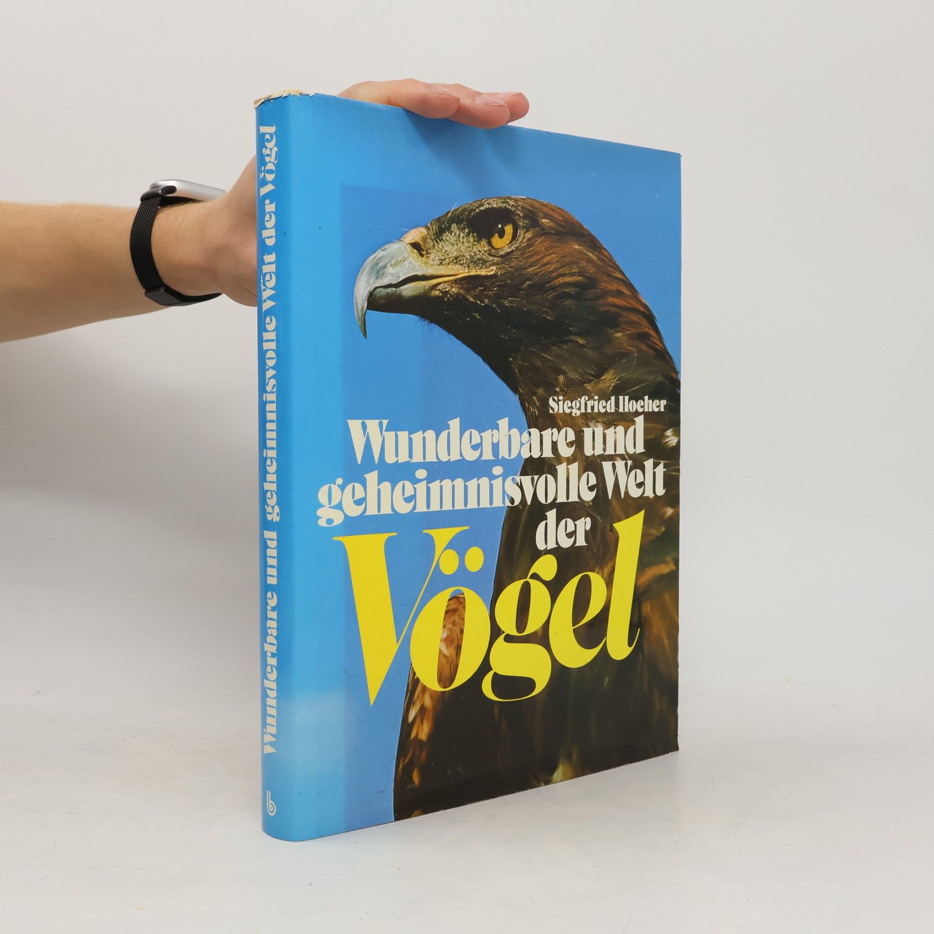 Wunderbare und geheimnisvolle Welt der Vögel