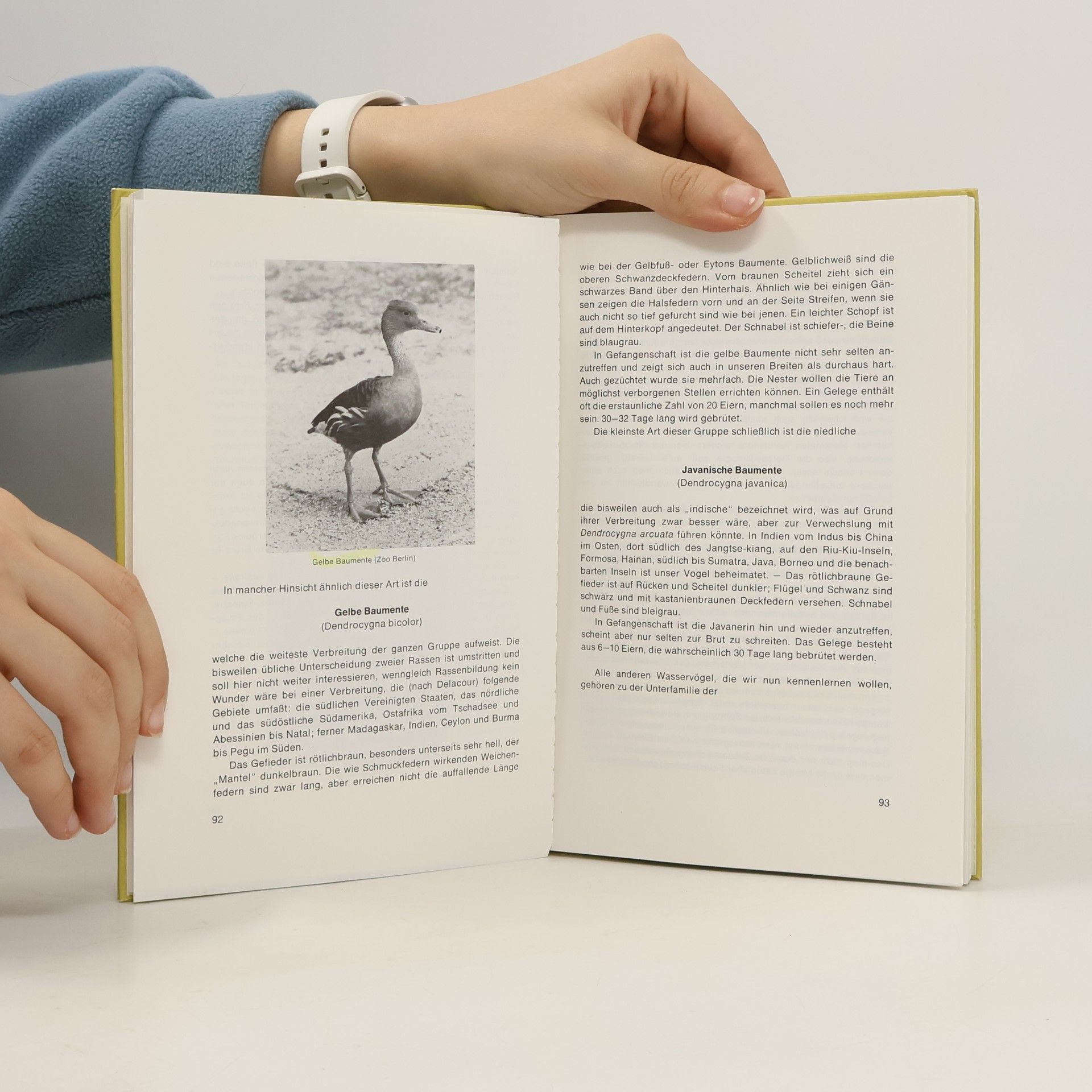 Dr. Franz Otto Hörler Tierbücher: Wasser- und Wasserziergeflügel