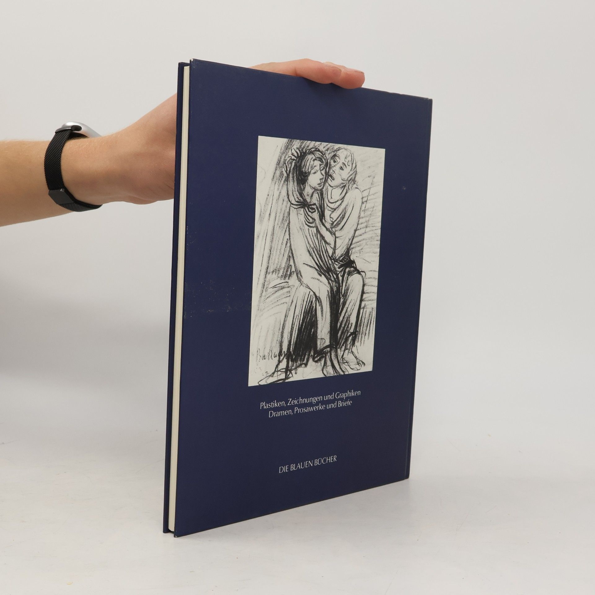 Collectif d'auteurs Ernst Barlach, Leben im Werk
