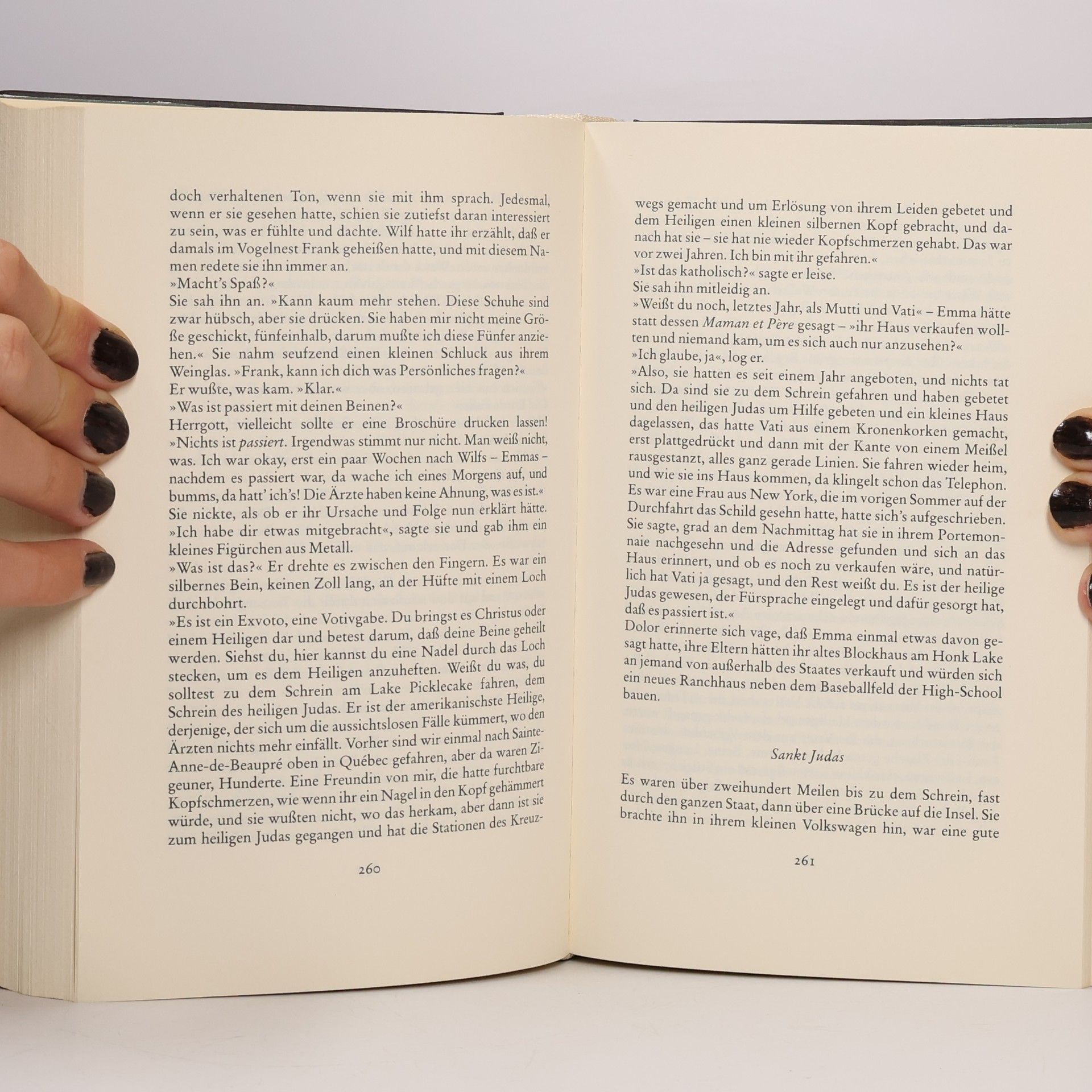 Annie Proulx Das Grüne Akkordeon