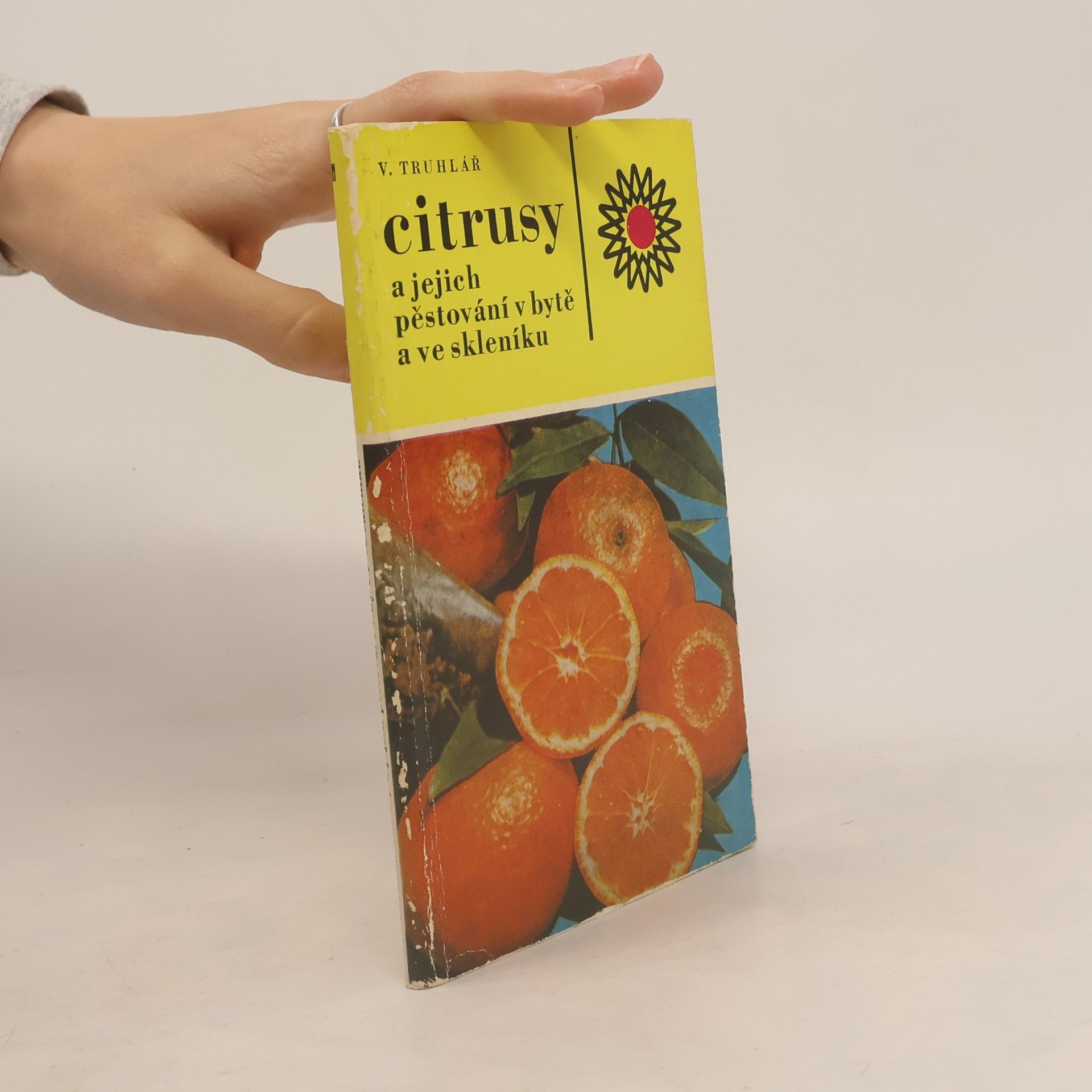 Citrusy a jejich pěstování v bytě a ve skleníku