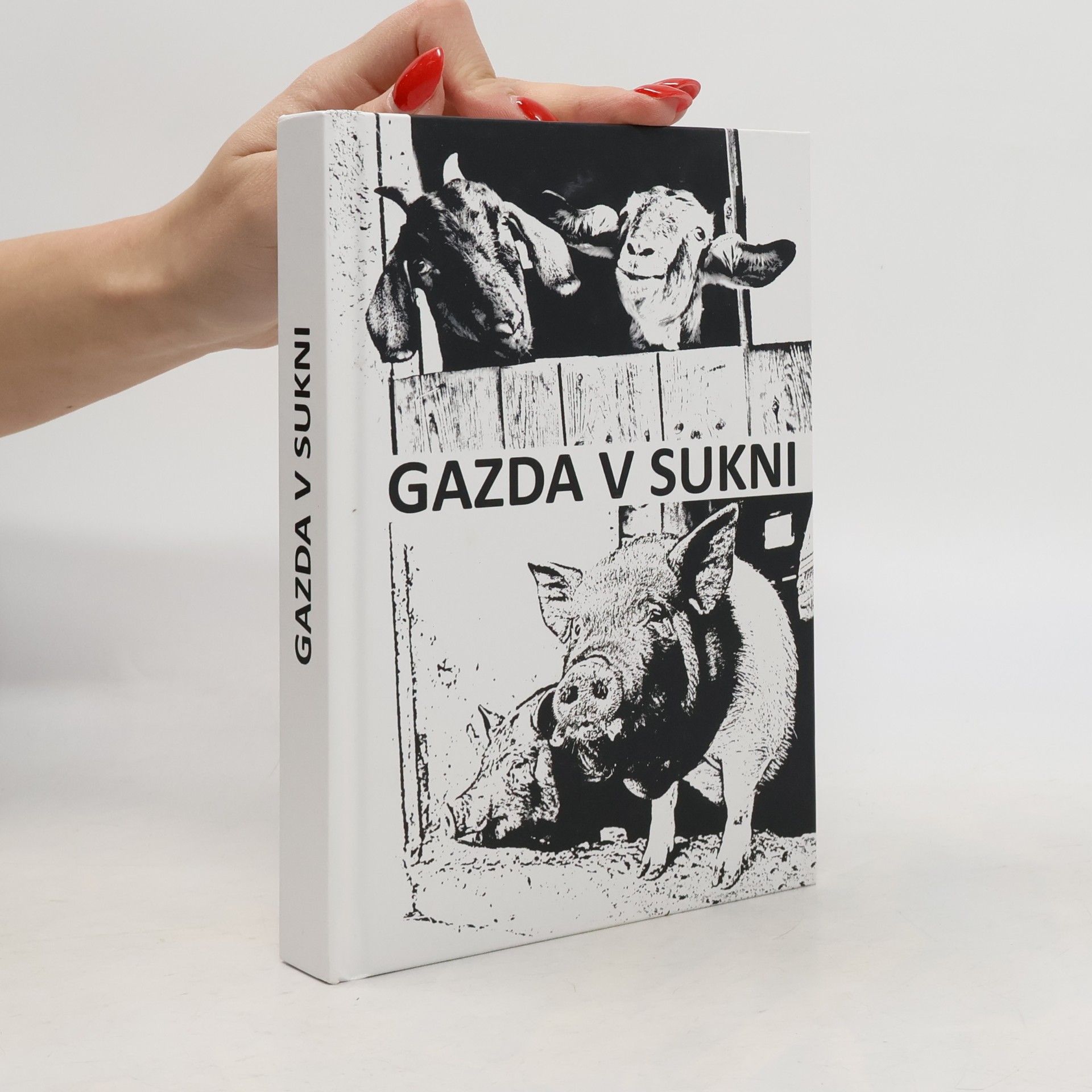 Ivana Zientek Gazda v sukni