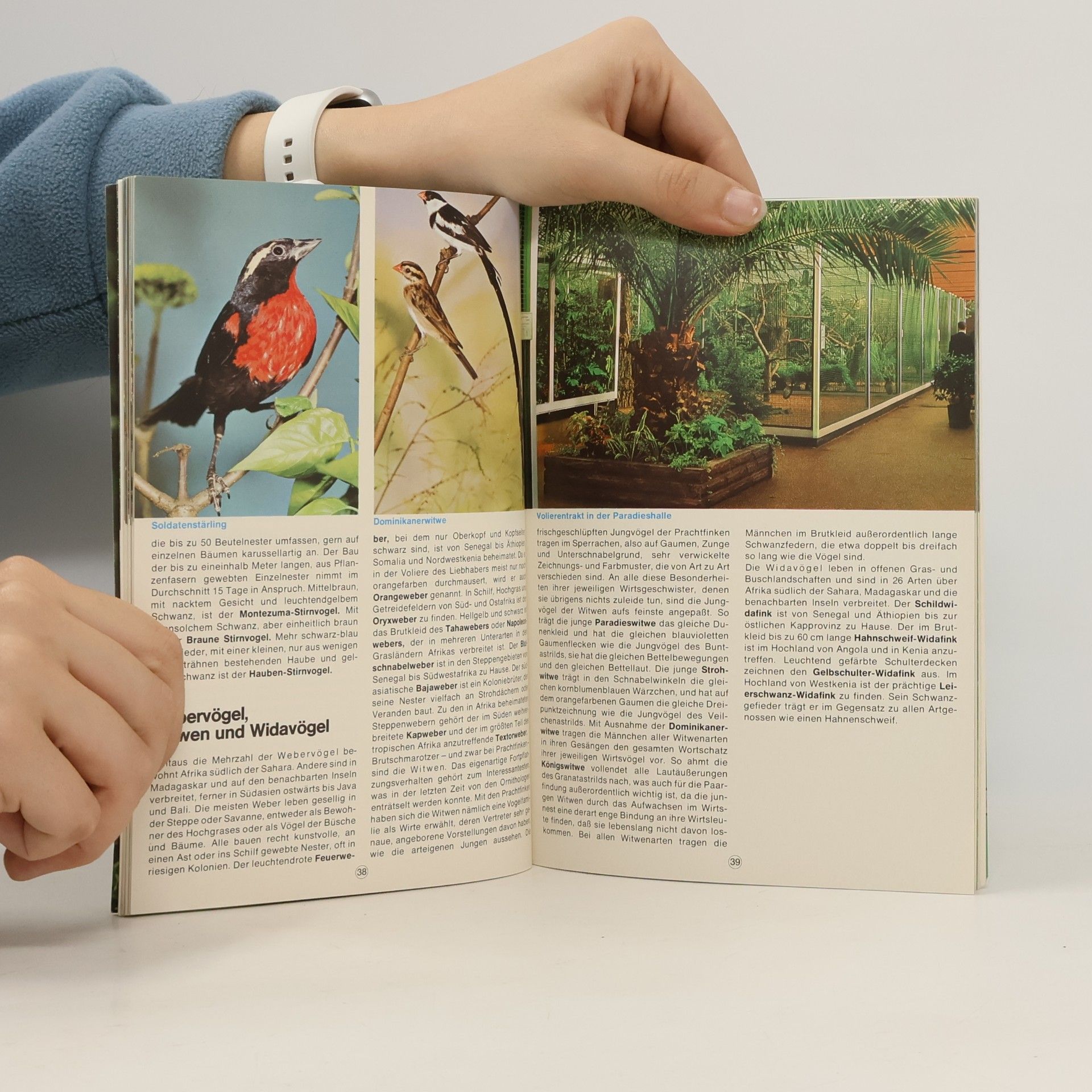 Autorenkollektiv Vogelpark Walsrode