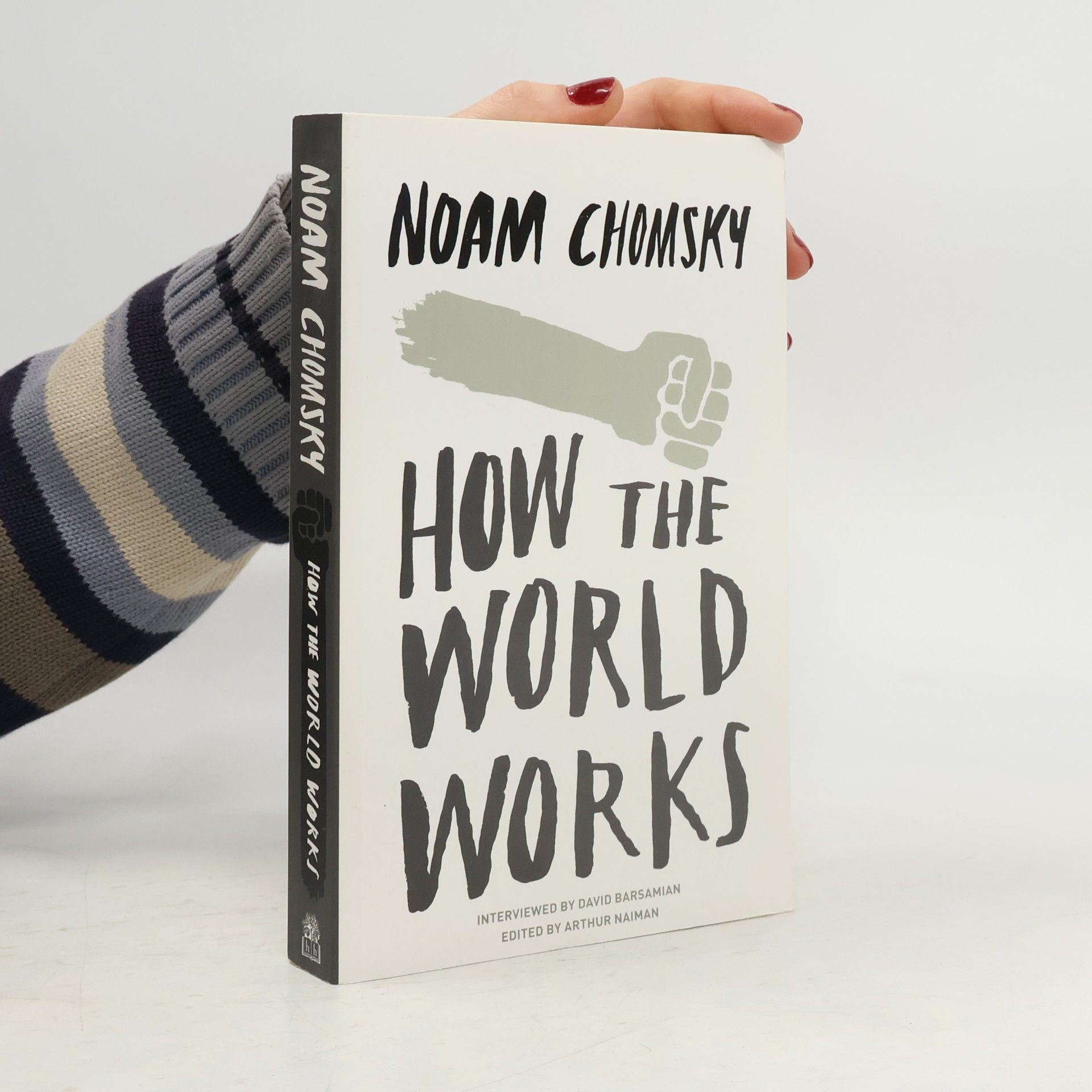 Noam Chomsky How the world works