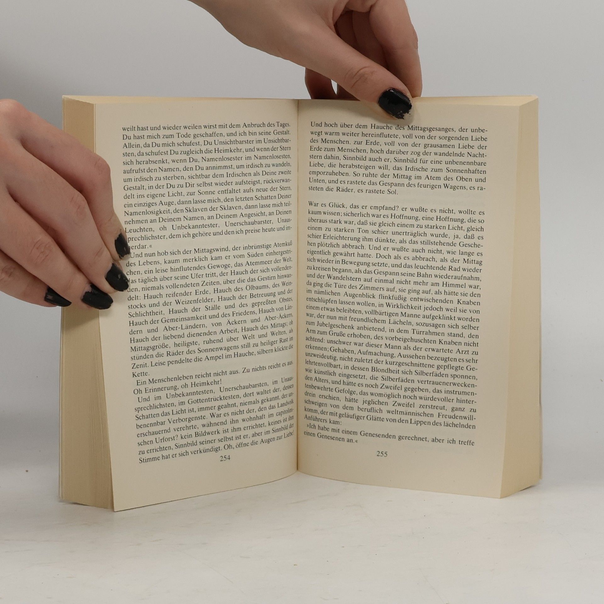Hermann Broch Der Tod des Vergil