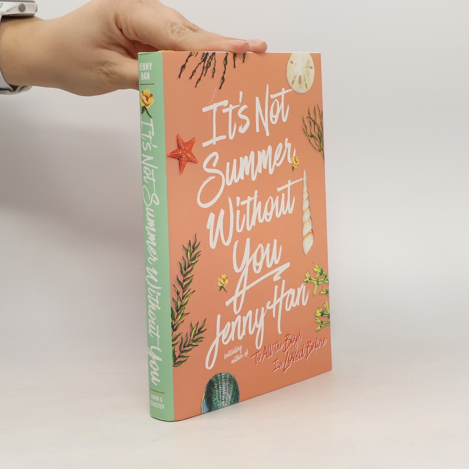 It's Not Summer Without You