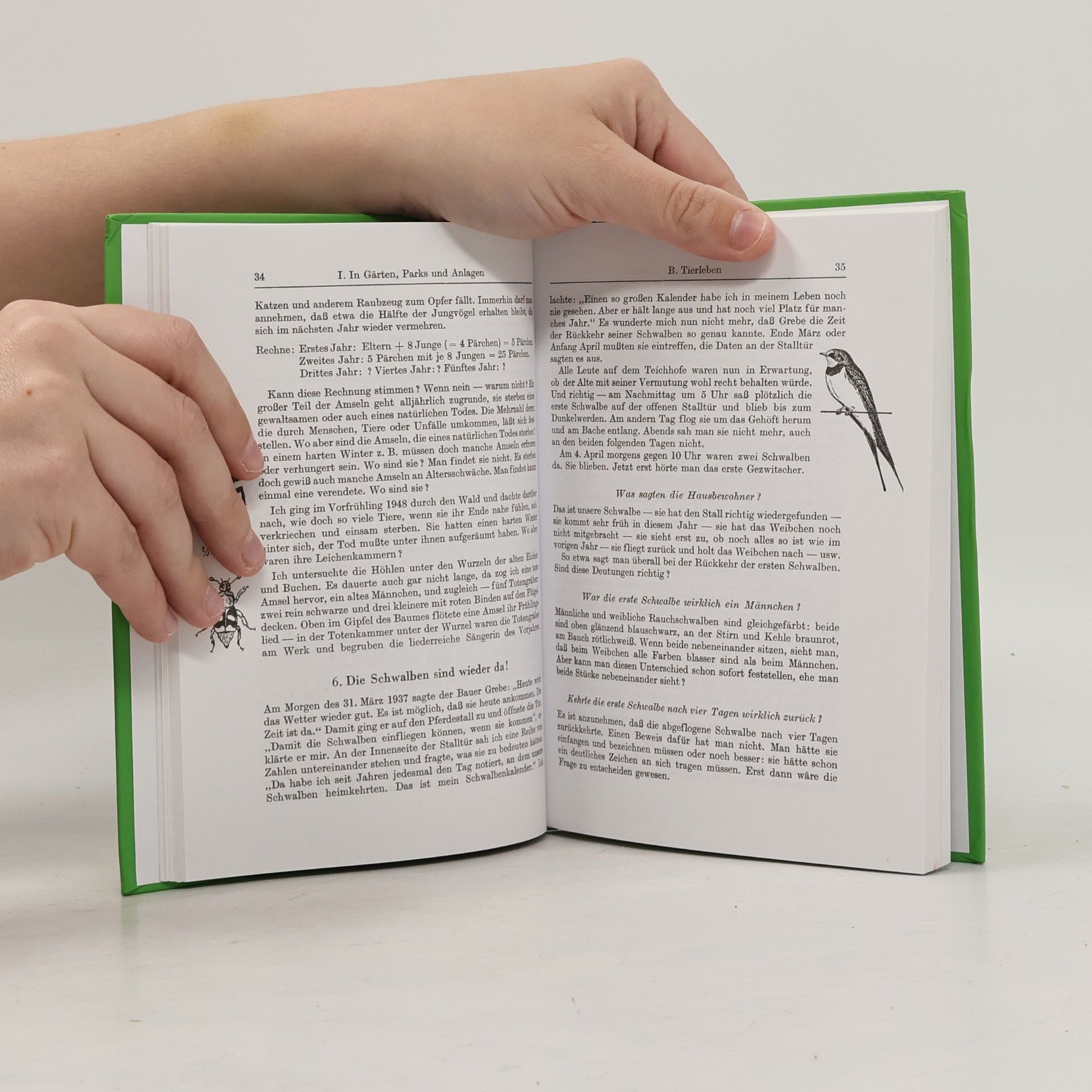 Jahreszeitliches Wanderbuch